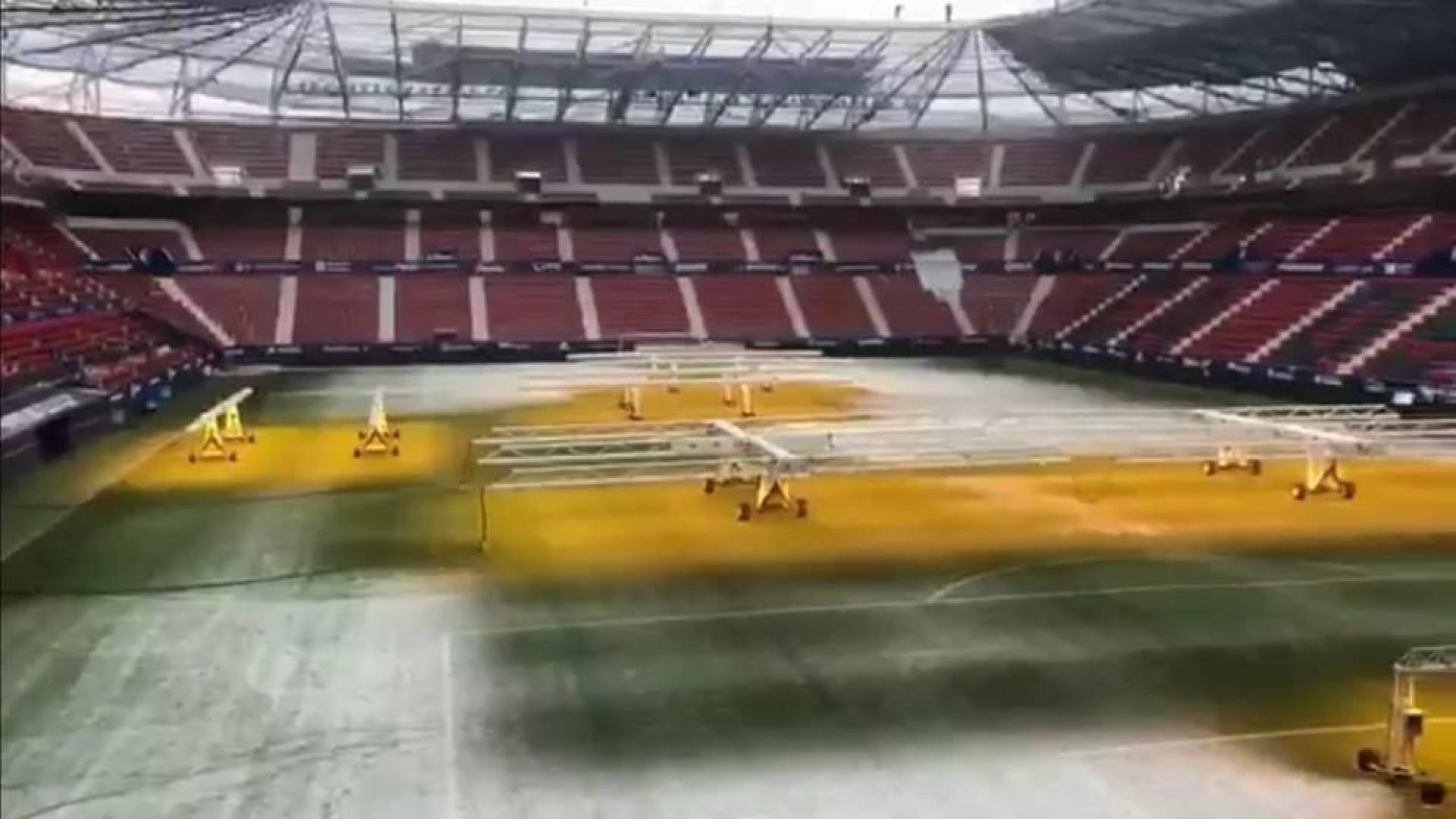 El césped de El Sadar resiste de momento a Filomena antes del Osasuna-Real Madrid
