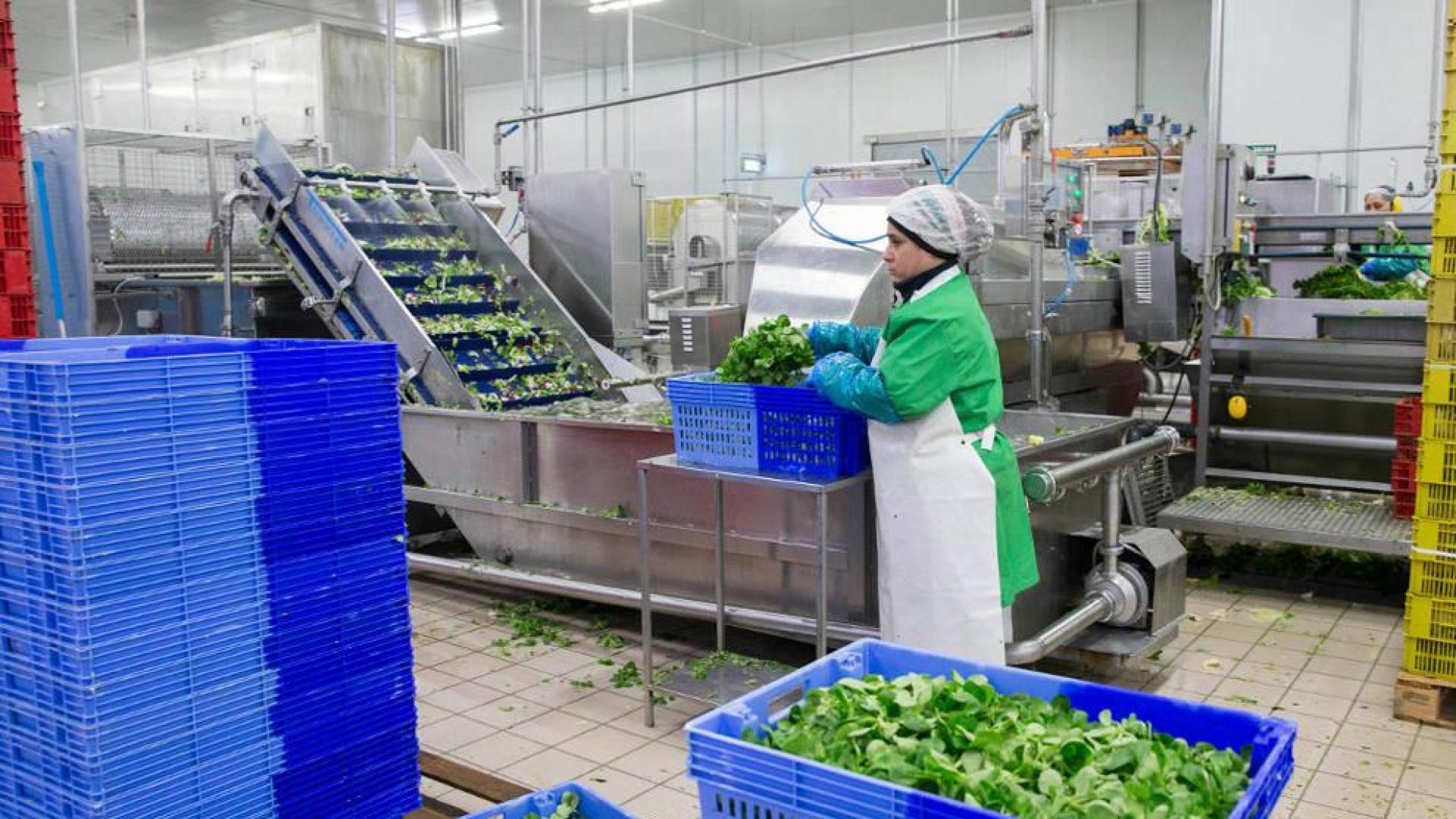La producción industrial se dispara un 5,9% en febrero y encadena 4 meses en positivo