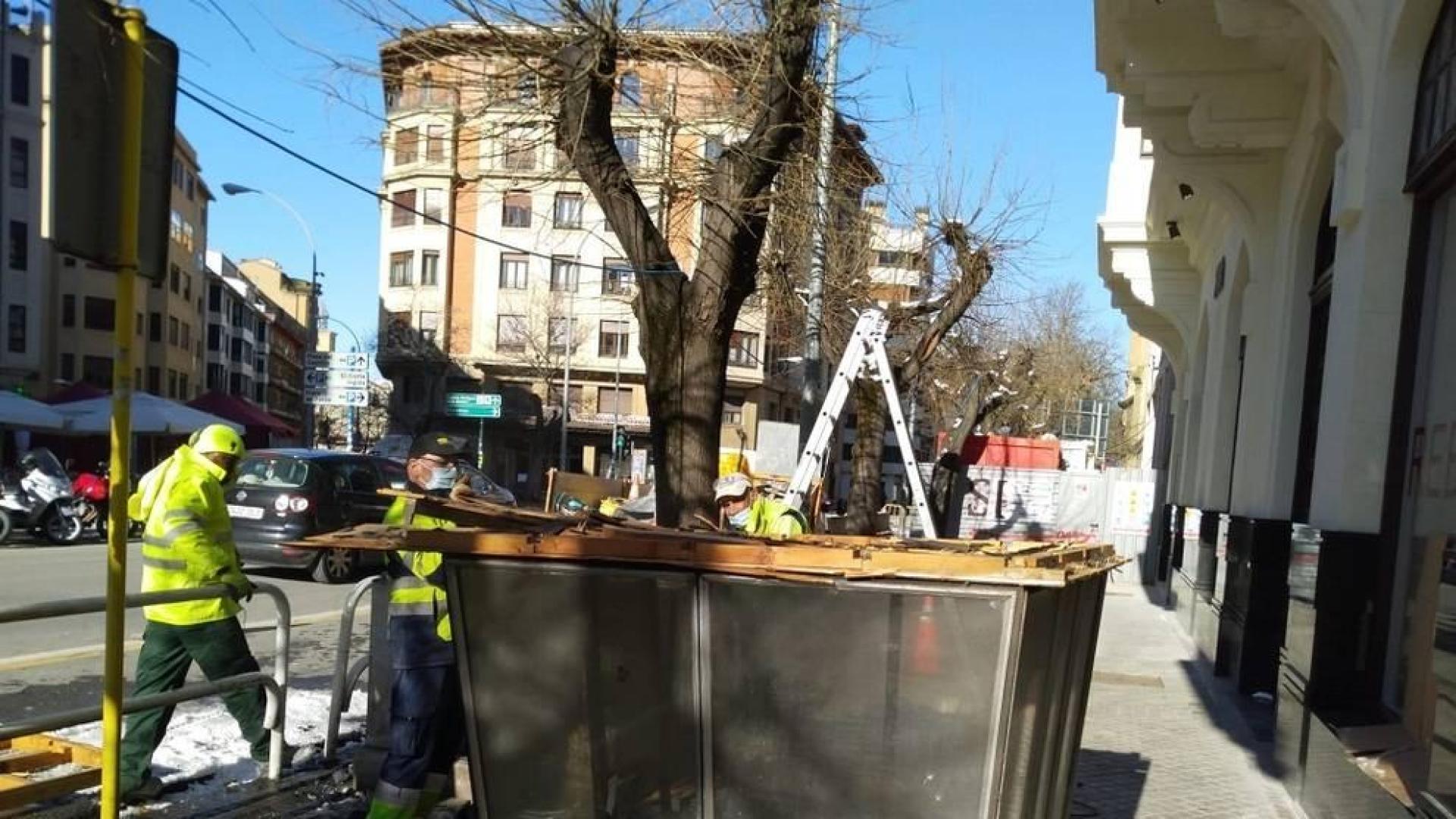 Retirado el quiosco de venta de prensa y revistas de la avenida de San Ignacio