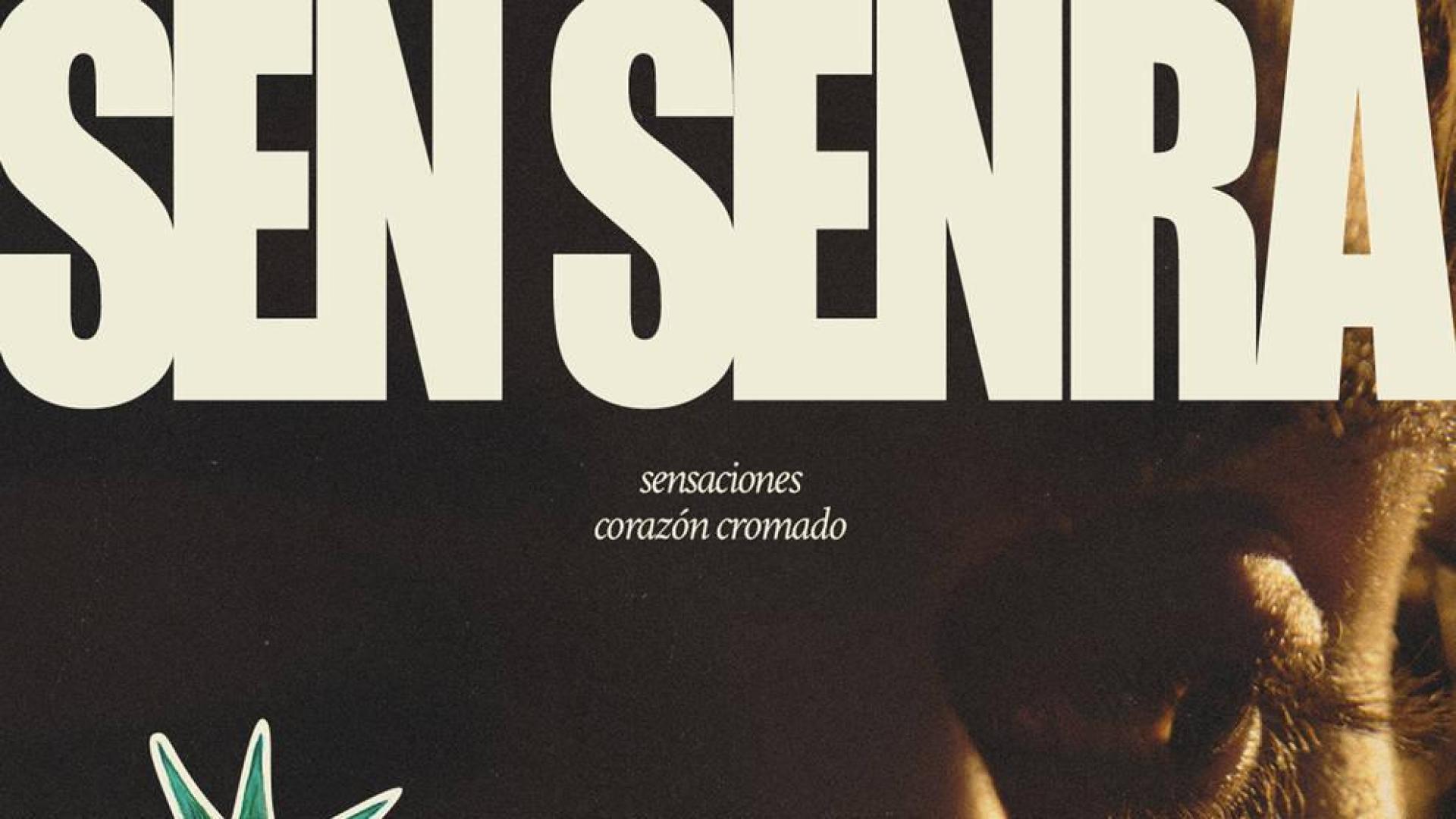 Cancelado el concierto de Sen Senra en Baluarte