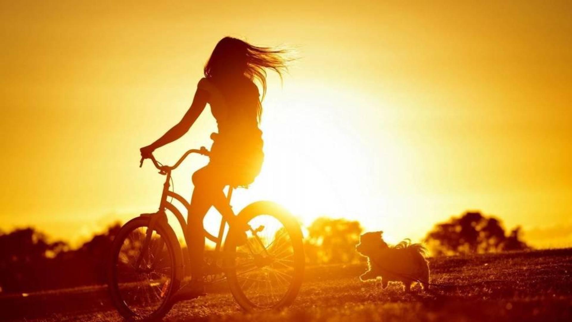 Confirmada la sanción a una mujer que iba en bici con su perro durante el estado de alarma
