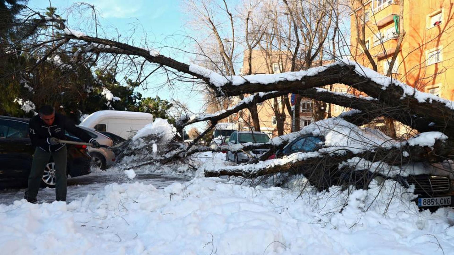 Madrid calcula que Filomena causó daños por valor de más de 1.398 millones