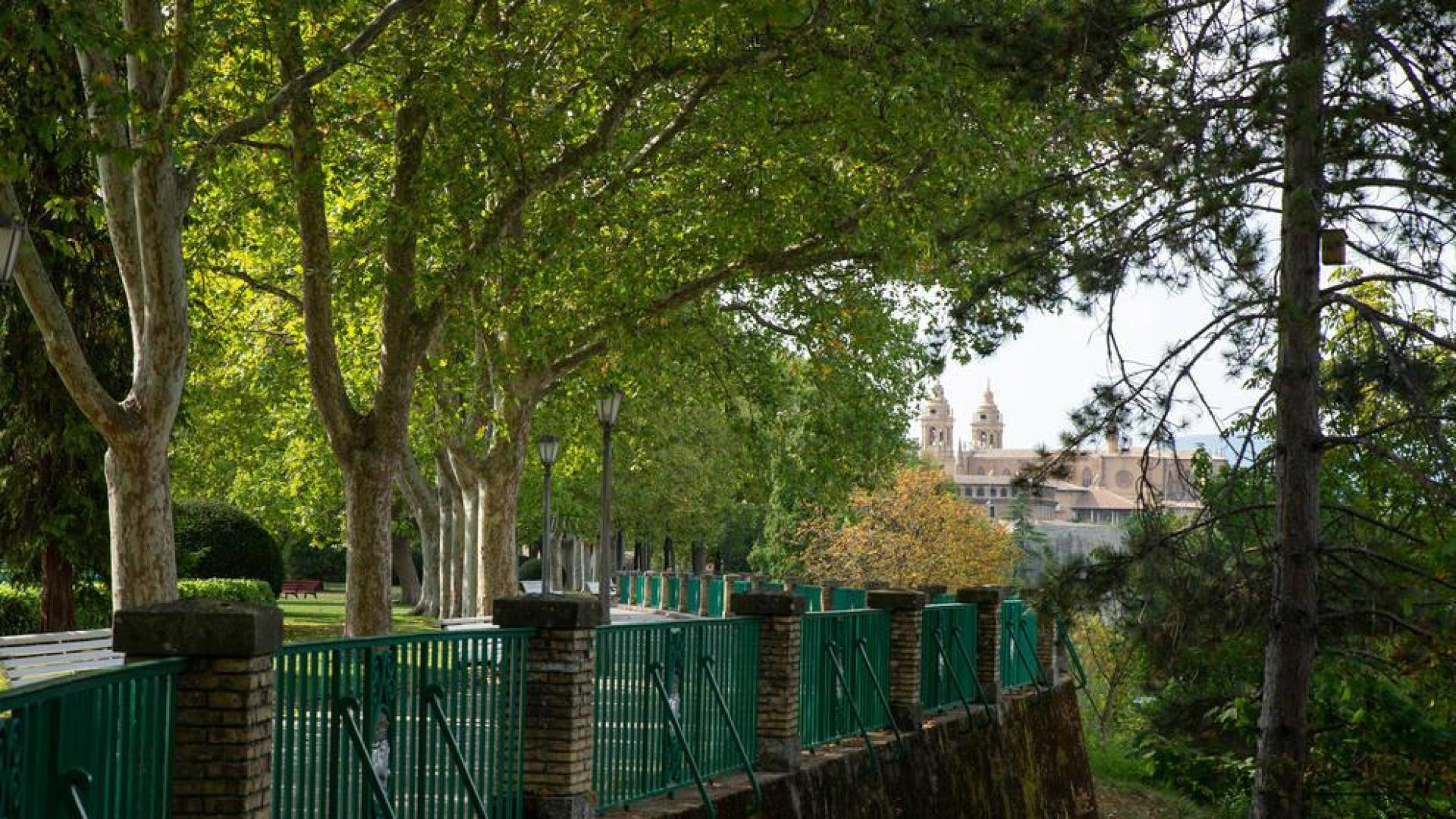 La Media Luna acuna sus 75 velas