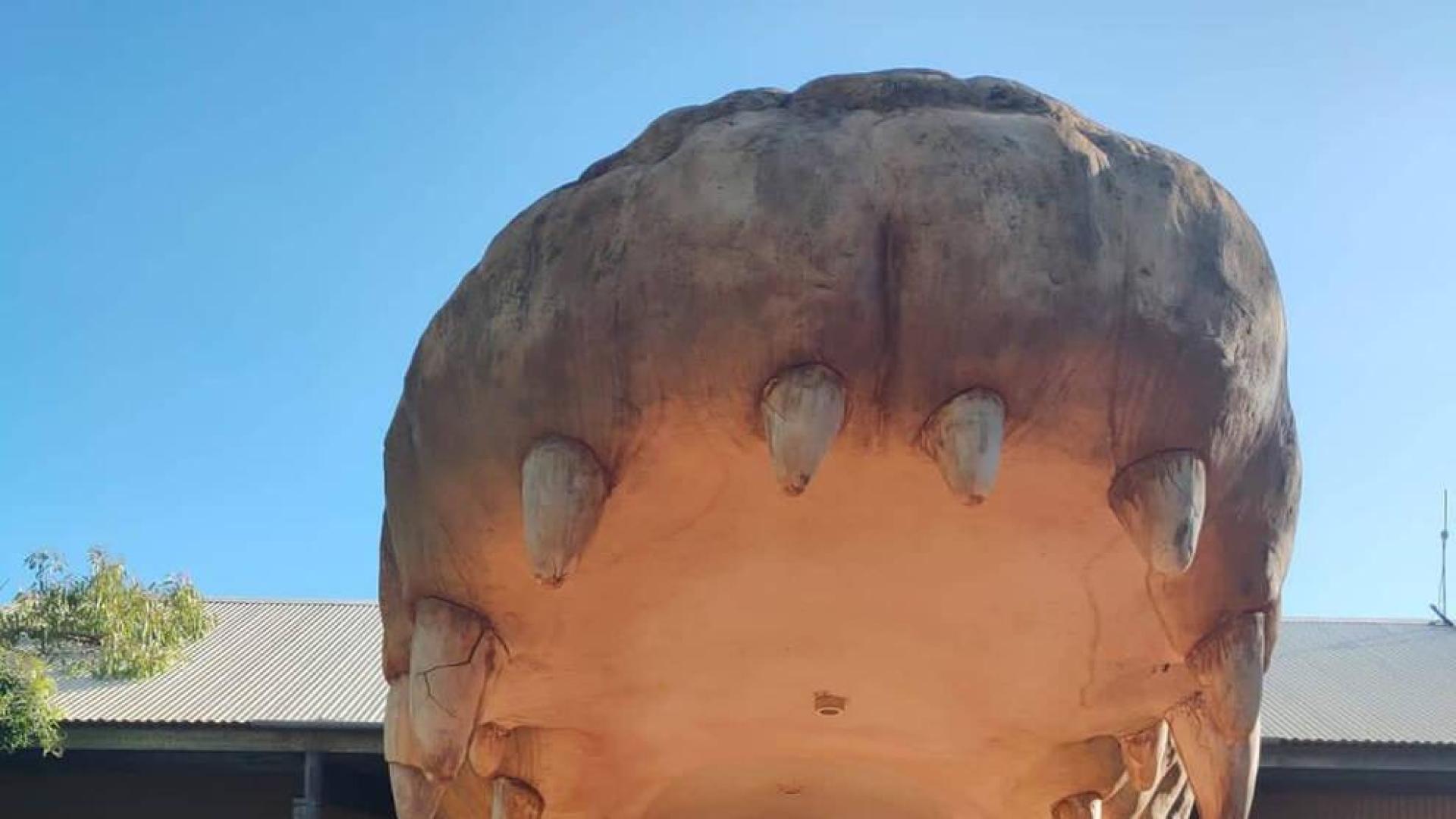 Un buscavidas navarro asentado en Broome (Australia)