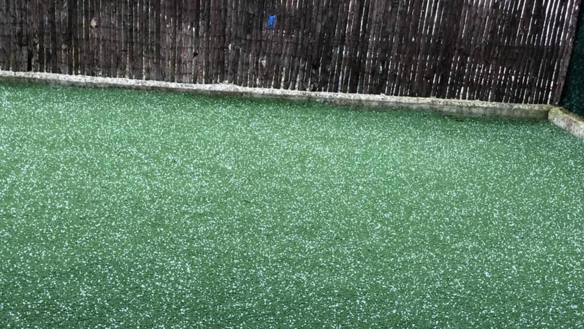 Granizo en un jardín de la comarca de Pamplona.