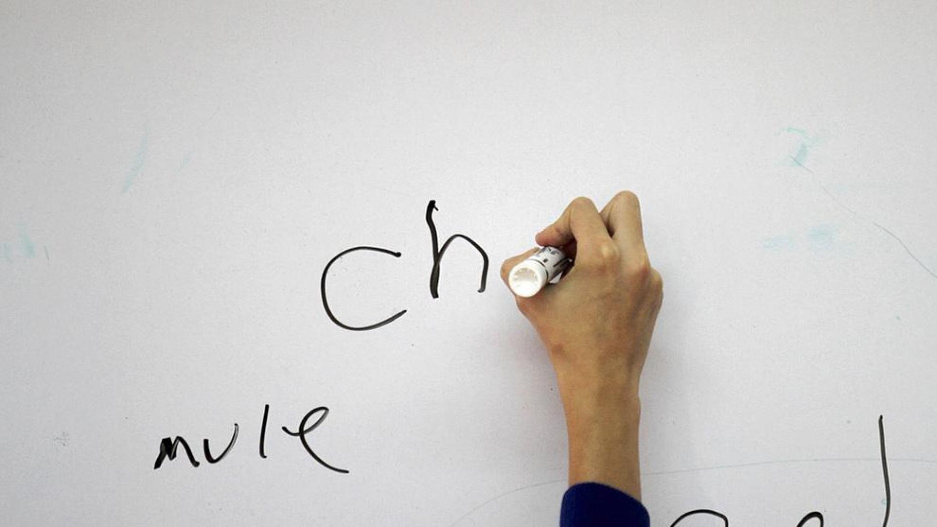 ¿Creéis que se valora suficientemente la labor del docente?