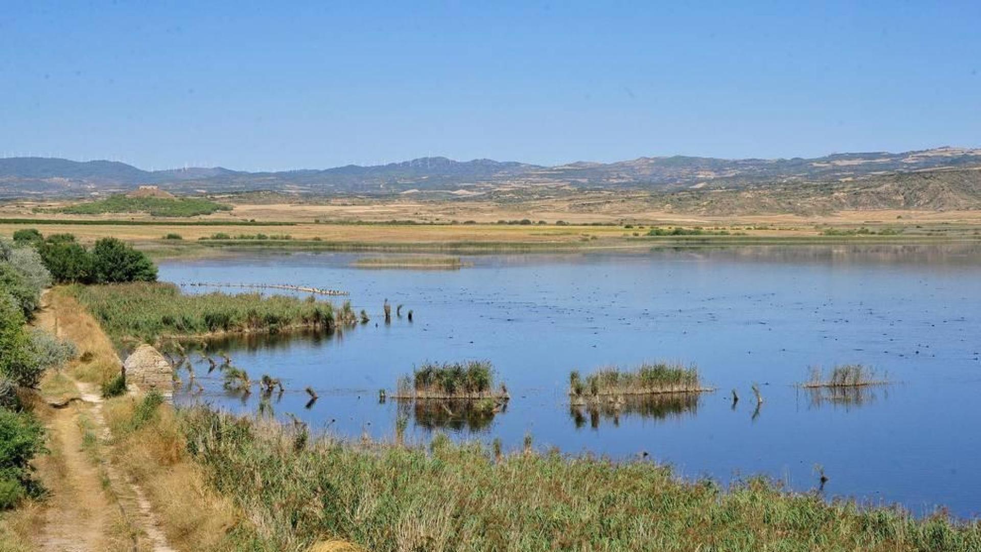 Vista general de la Reserva Natural de la laguna de Pitillas.