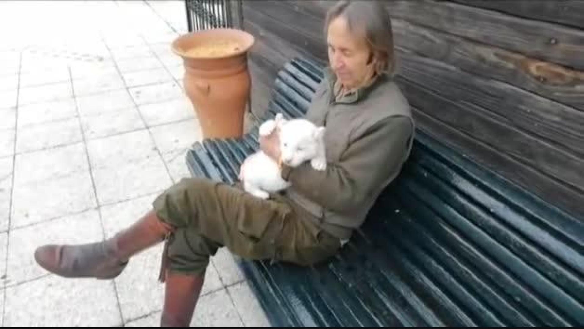 Nace en Sevilla el segundo león blanco español