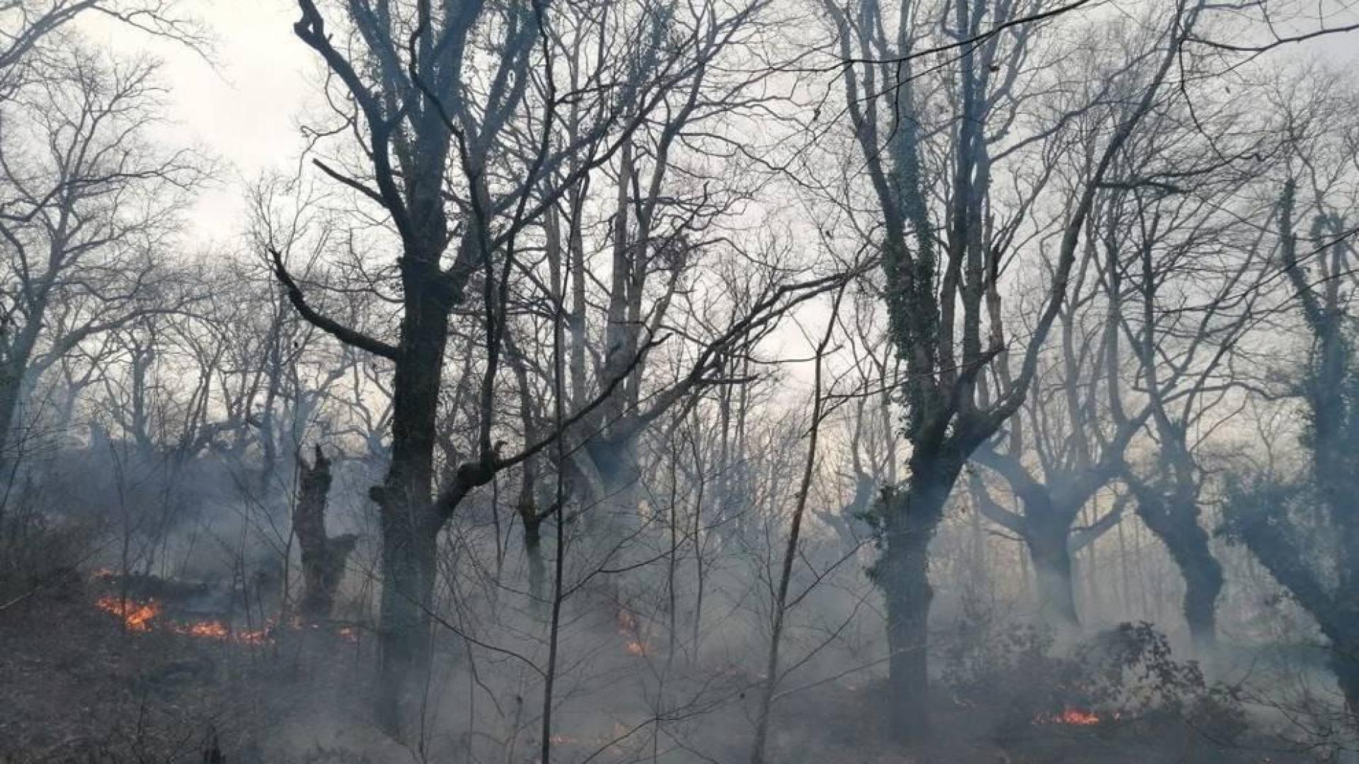 Baztan reprueba las quemas sin control tras la pérdida de 500 hectáreas