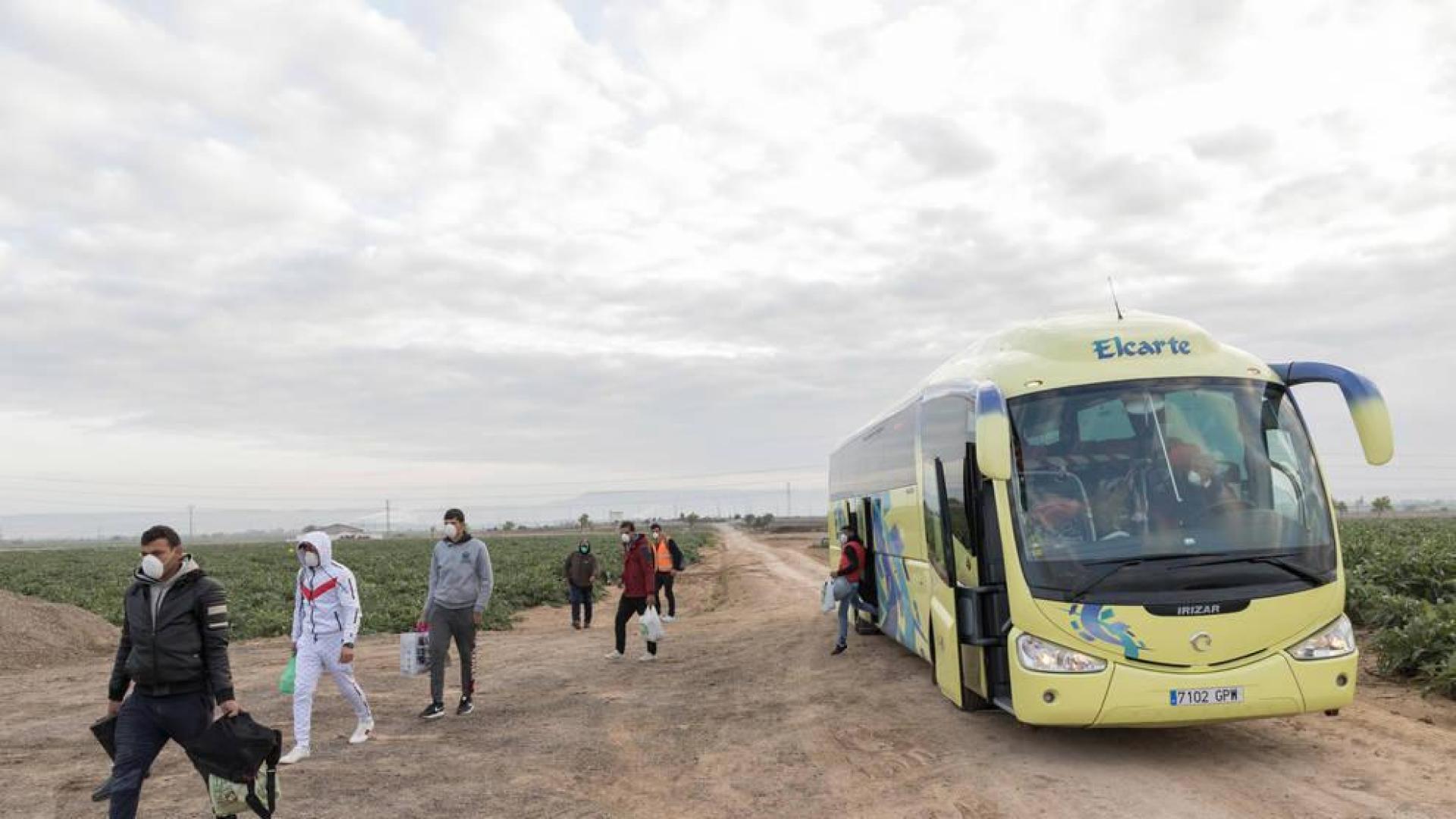 Los temporeros se apean del autobús guardando la distancia de seguridad. Han viajado con mascarilla y se disponen a recoger alcachofa de Tudela.