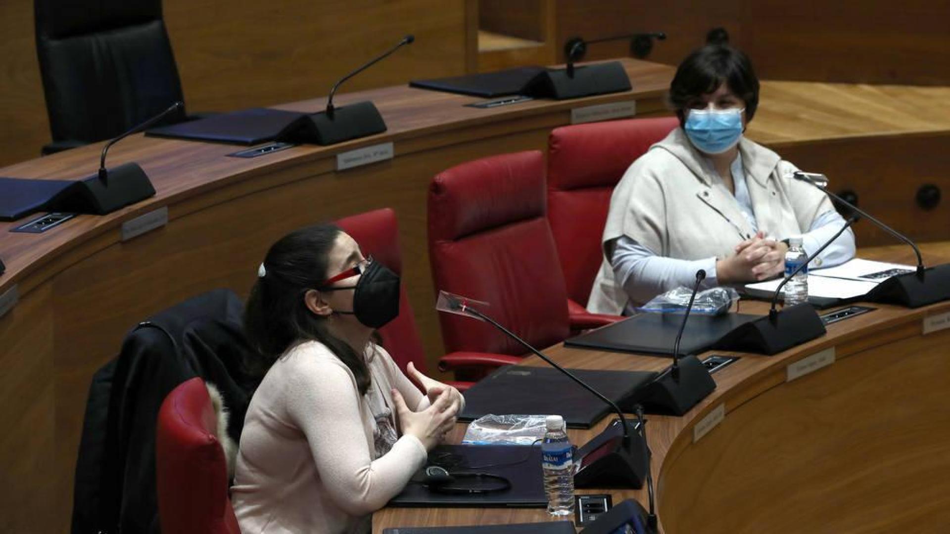Anfas ve difícil mantener su actividad si no mejora la financiación pública