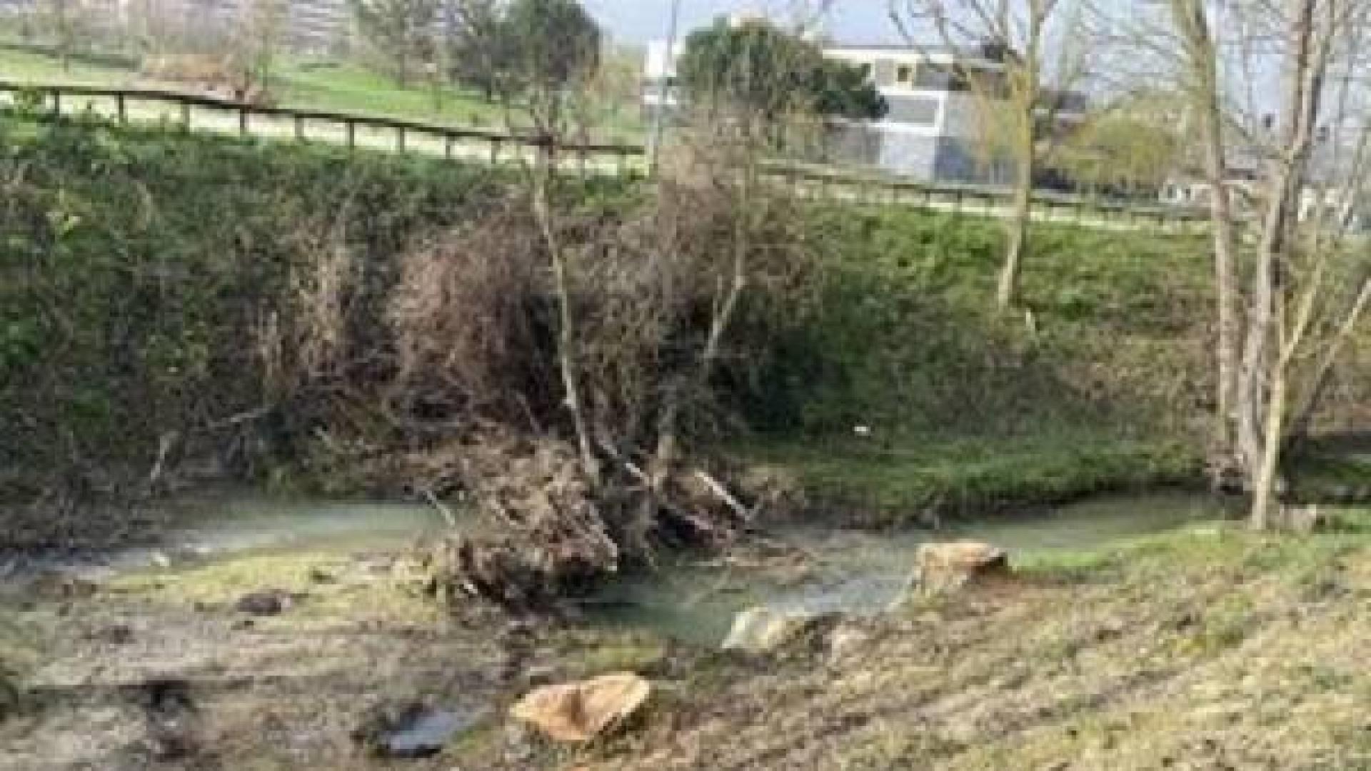 Gurelur acusa al Ayuntamiento del Valle de Egüés de destrozar la regata de Sarriguren