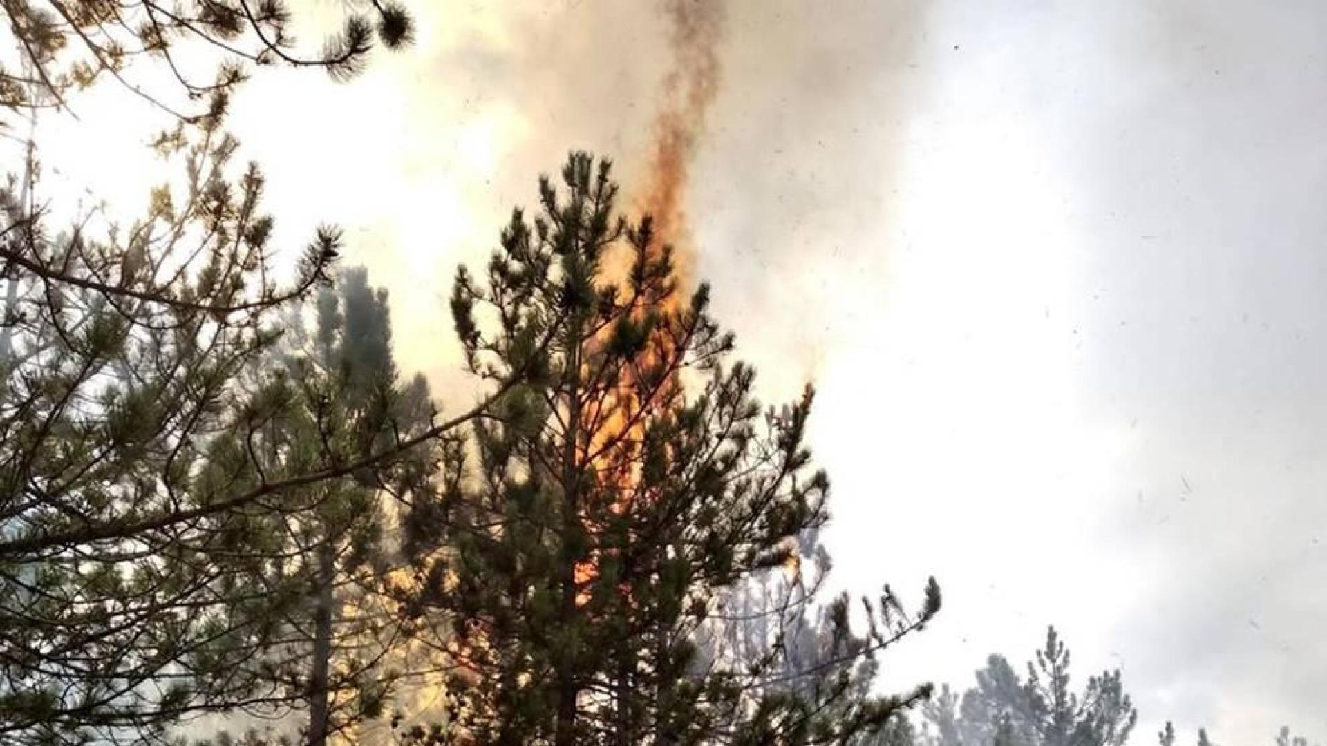 Importante incendio en un pinar de Javerri moviliza a varios efectivos de bomberos y medios aéreos