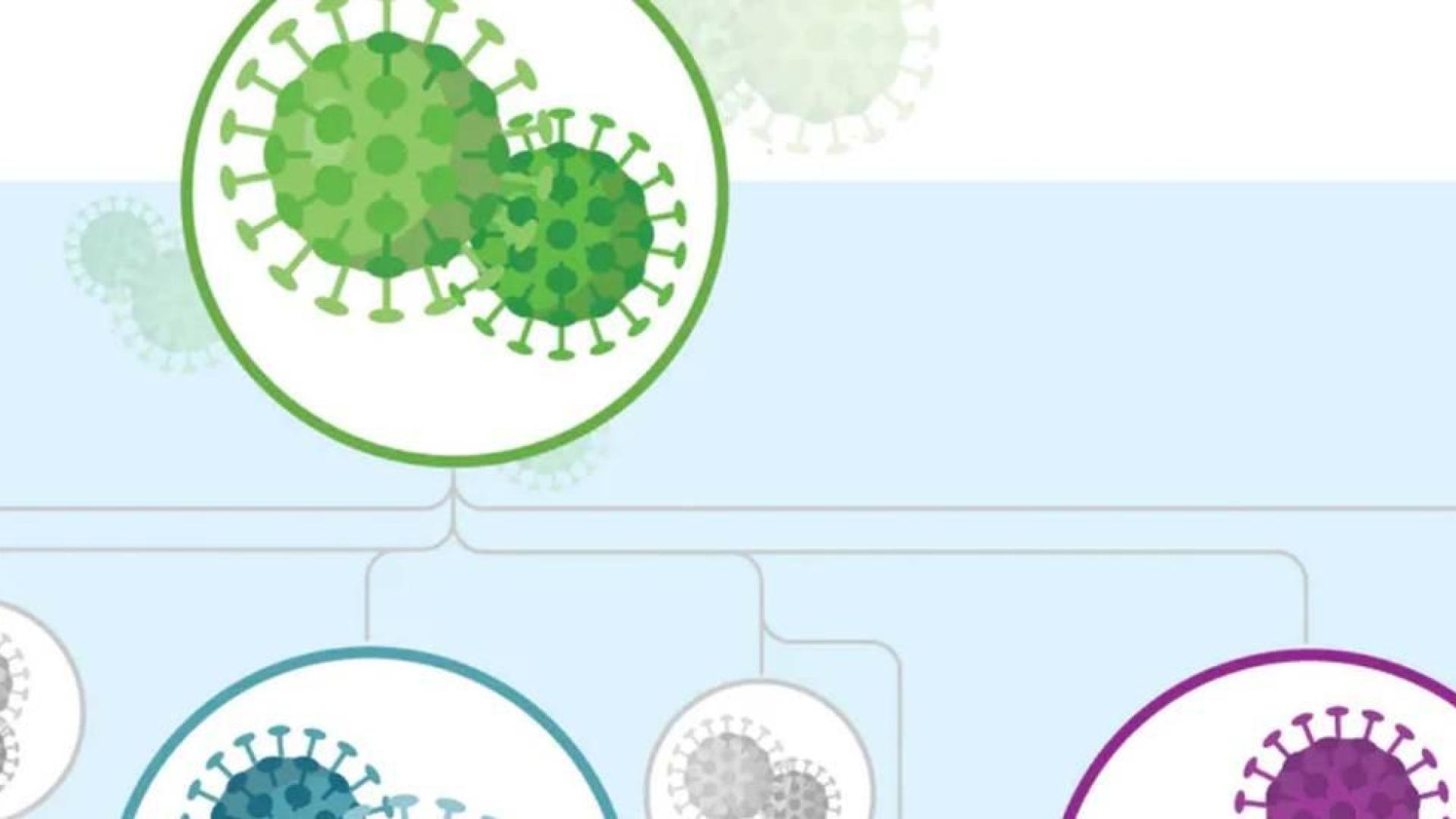Guía para entender los mutantes y las variantes del SARS-CoV-2