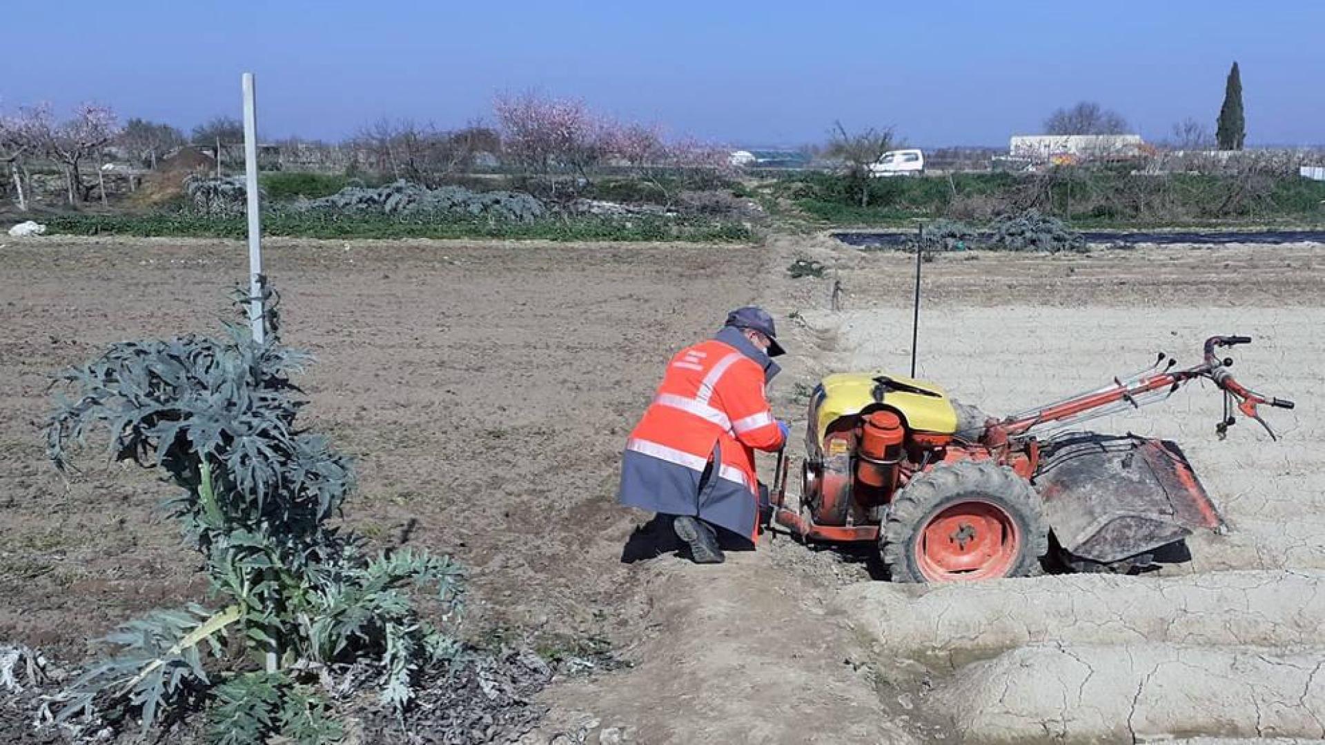 Un herido grave al quedar atrapado por su mula mecánica en Caparroso
