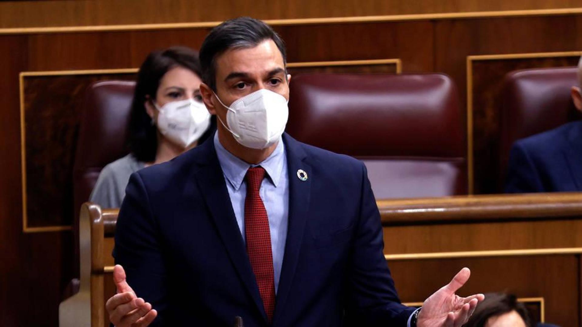 Pedro Sánchez, en el Congreso de los Diputados.