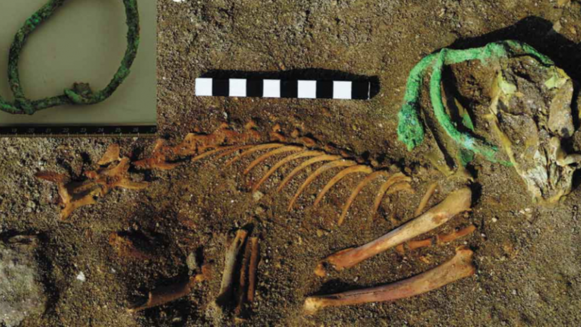 Descubierto en Egipto el cementerio de mascotas más antiguo conocido