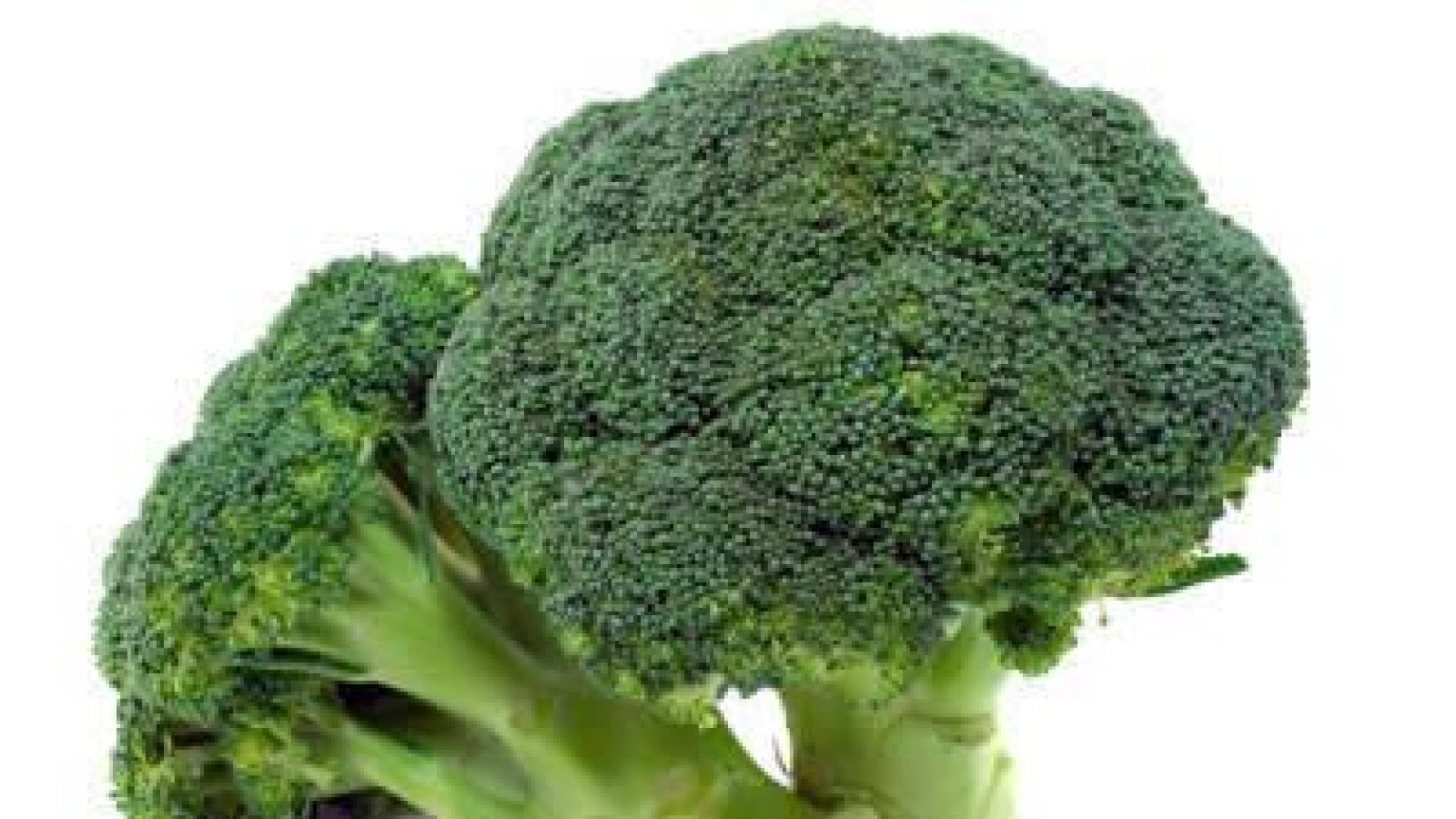 Comer brócoli ayuda a reducir el riesgo de sufrir cáncer