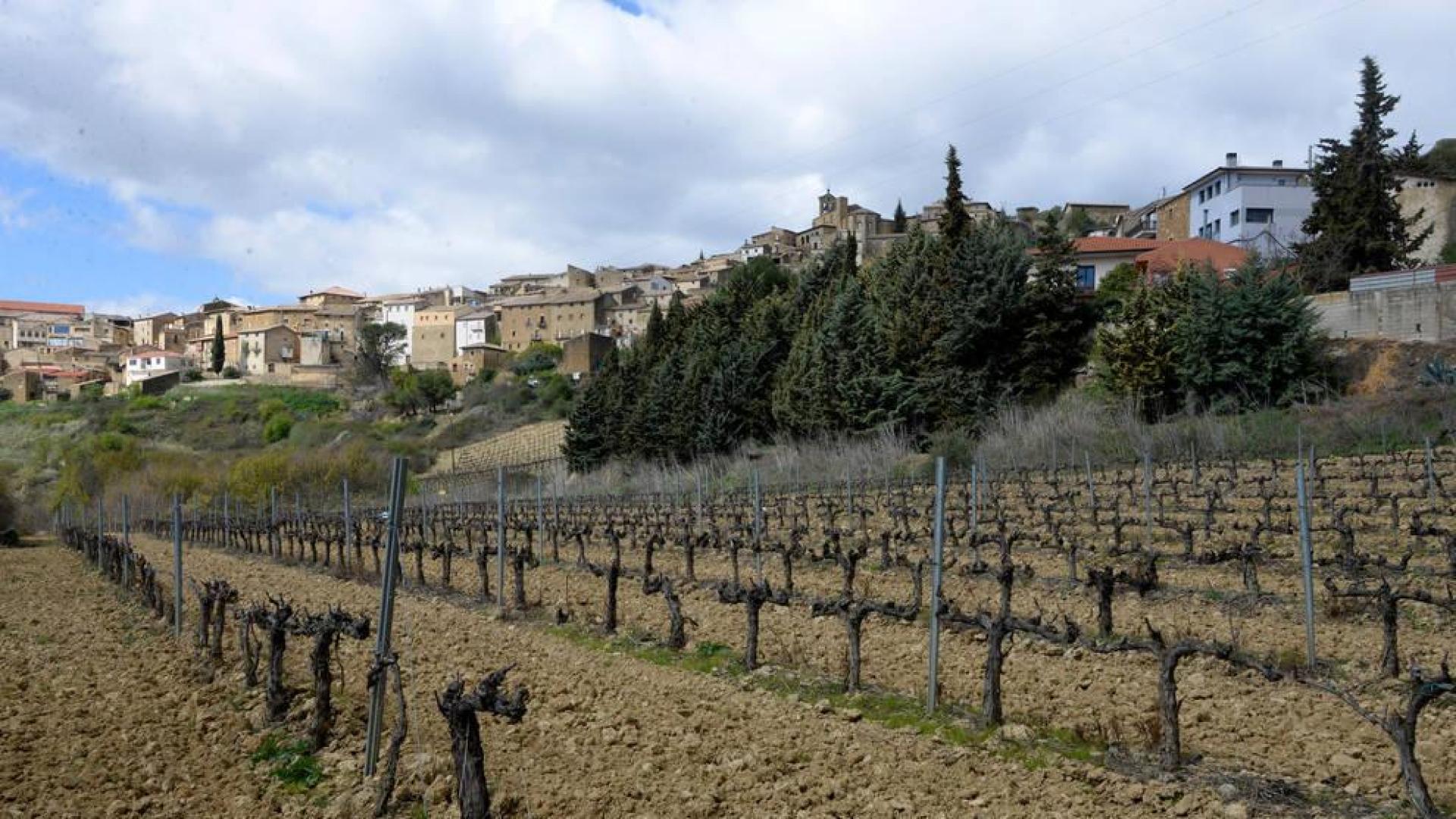 La viticultura tiene relevo en San Martín