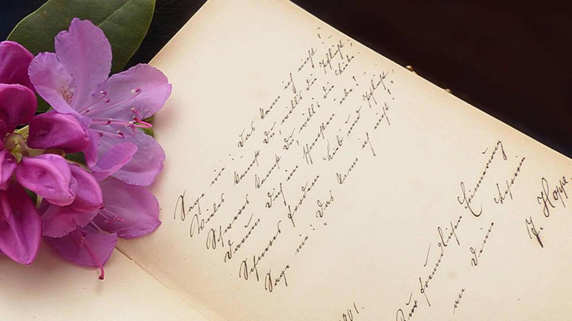 El Día de la Poesía trae a Pamplona espectáculos y encuentros