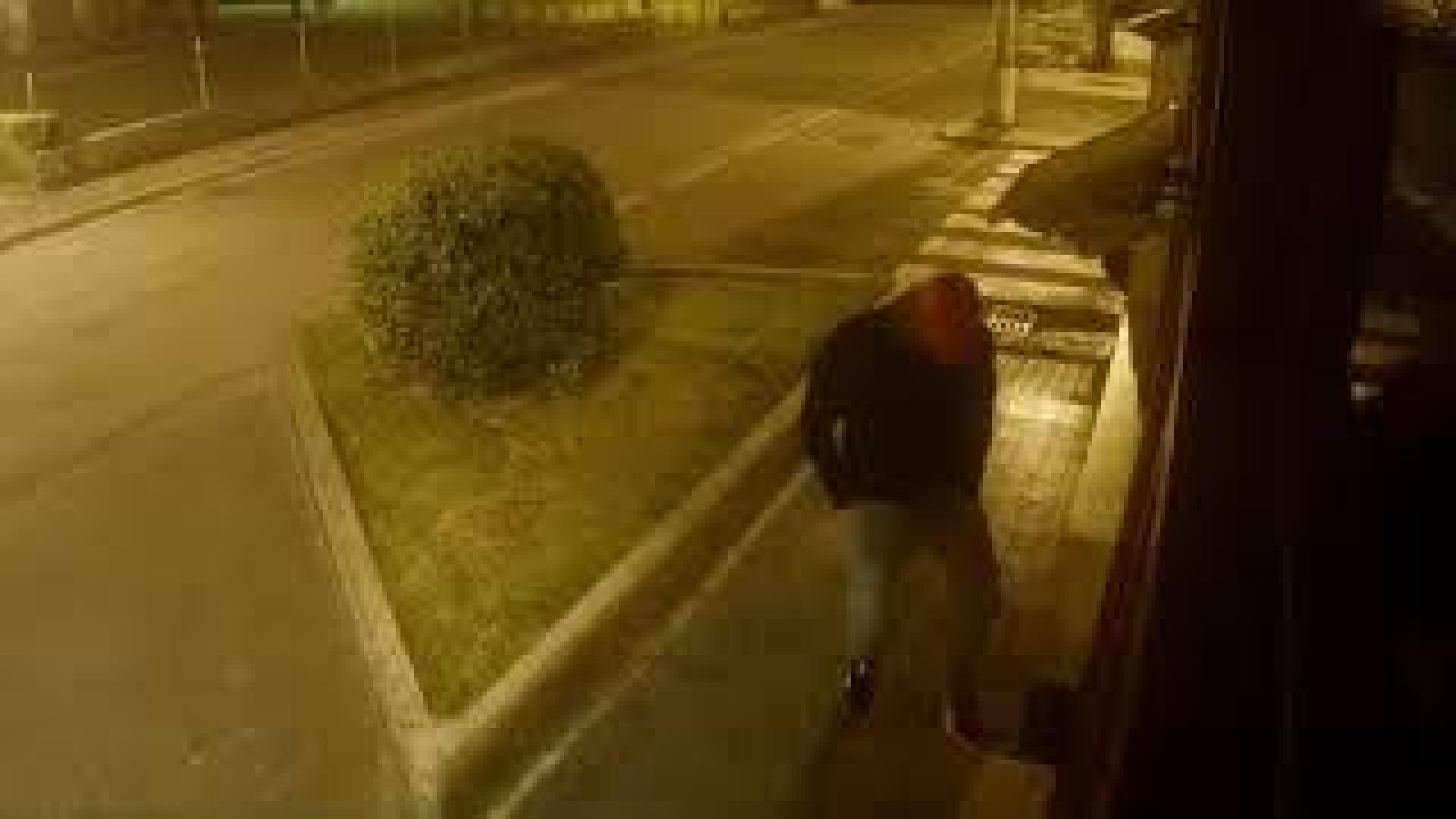 Vídeo del asalto a un tienda de alimentación de Lesaka