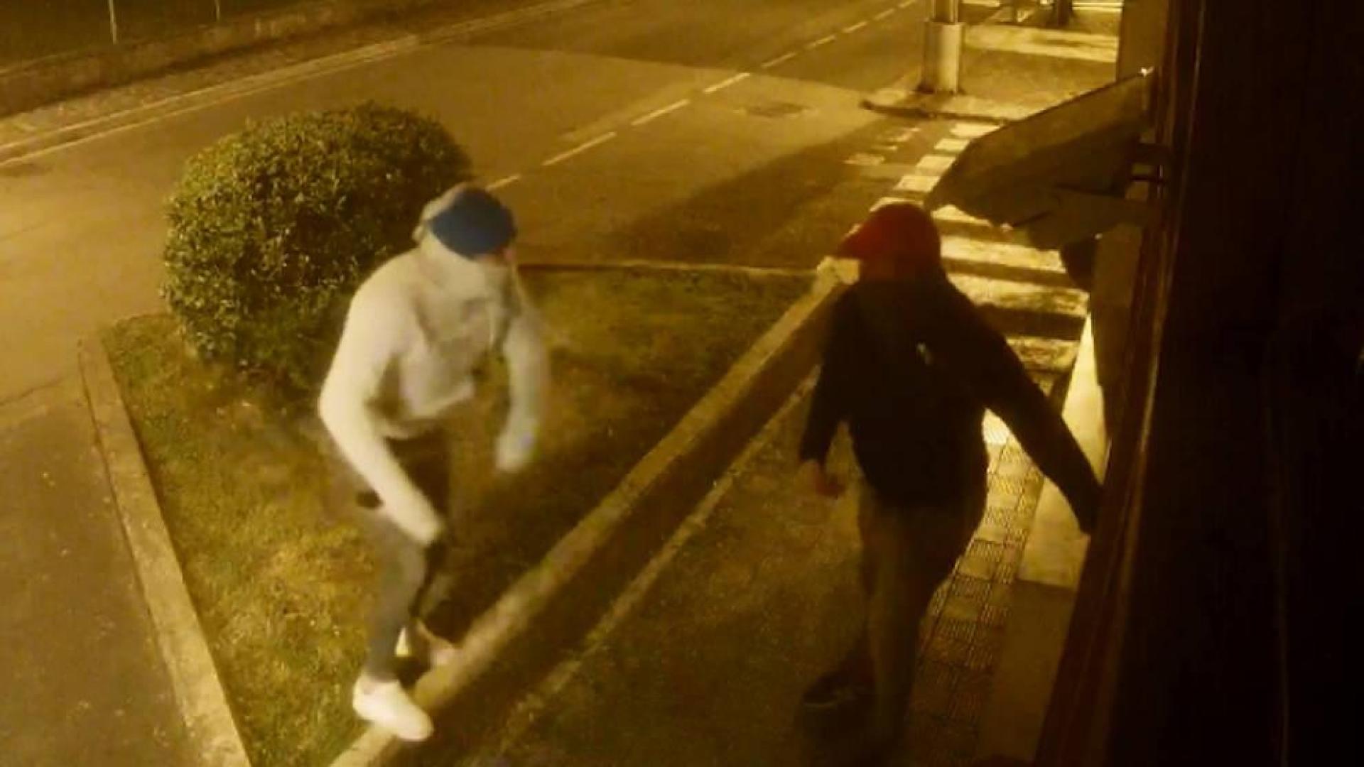 Investigados dos jóvenes por el robo en una tienda de alimentación de Lesaka