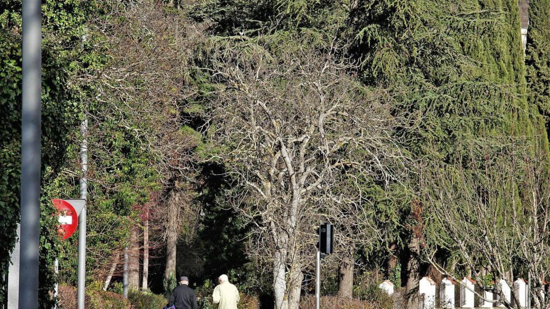¿Introduciría animales en el parque Aranzadi de Pamplona?