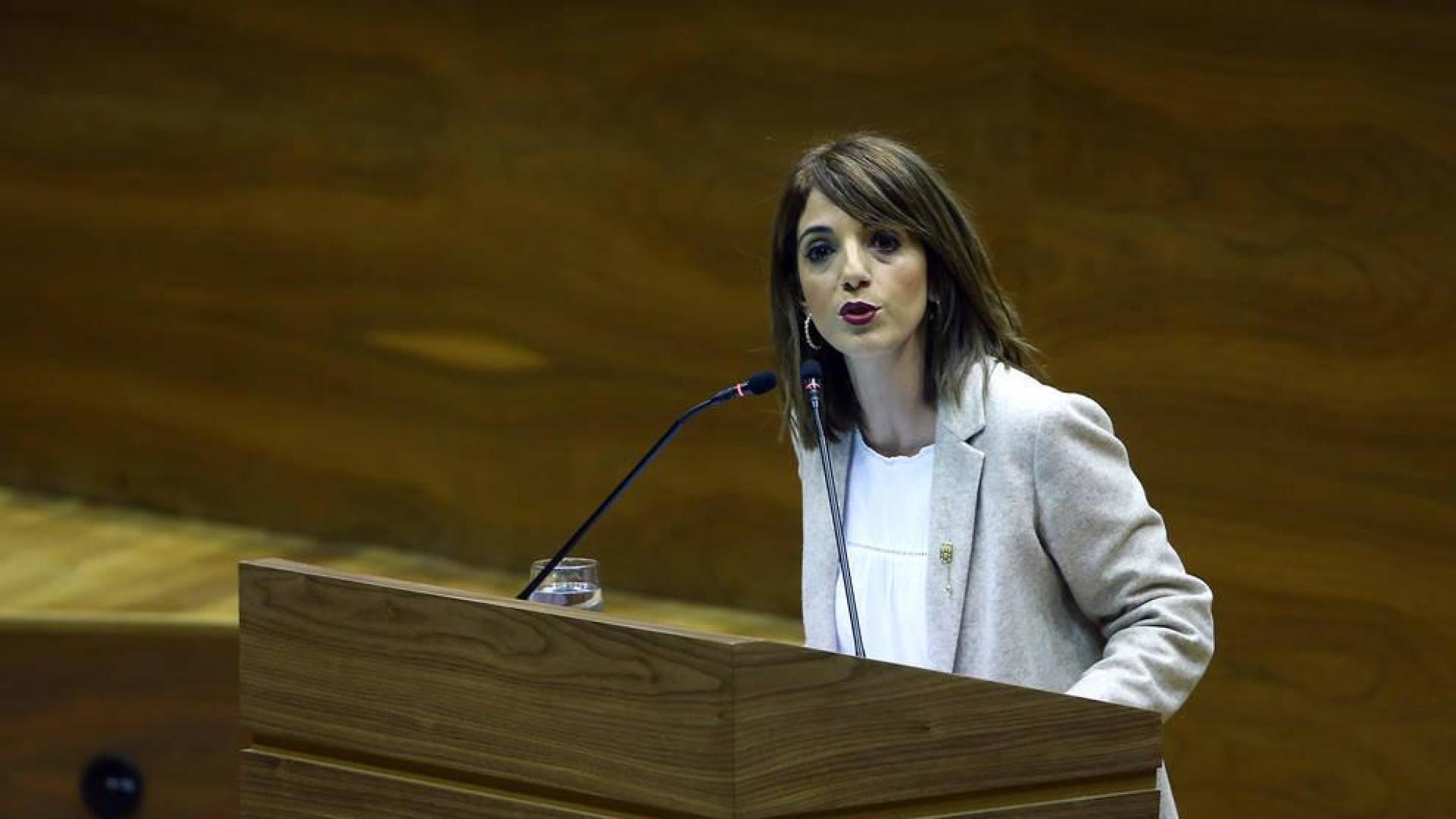 NA+ critica que Chivite "sigue los dictados de la política económica que le marca Bildu"