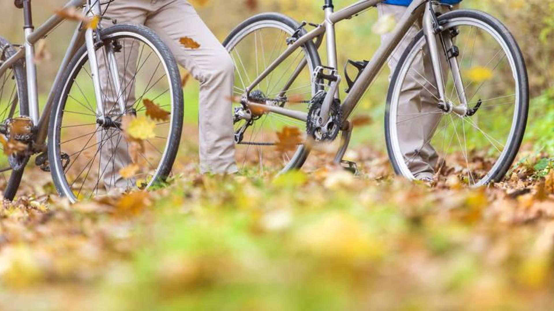 Muchas personas escogen disfrutar del contacto con la naturaleza en su tiempo libre