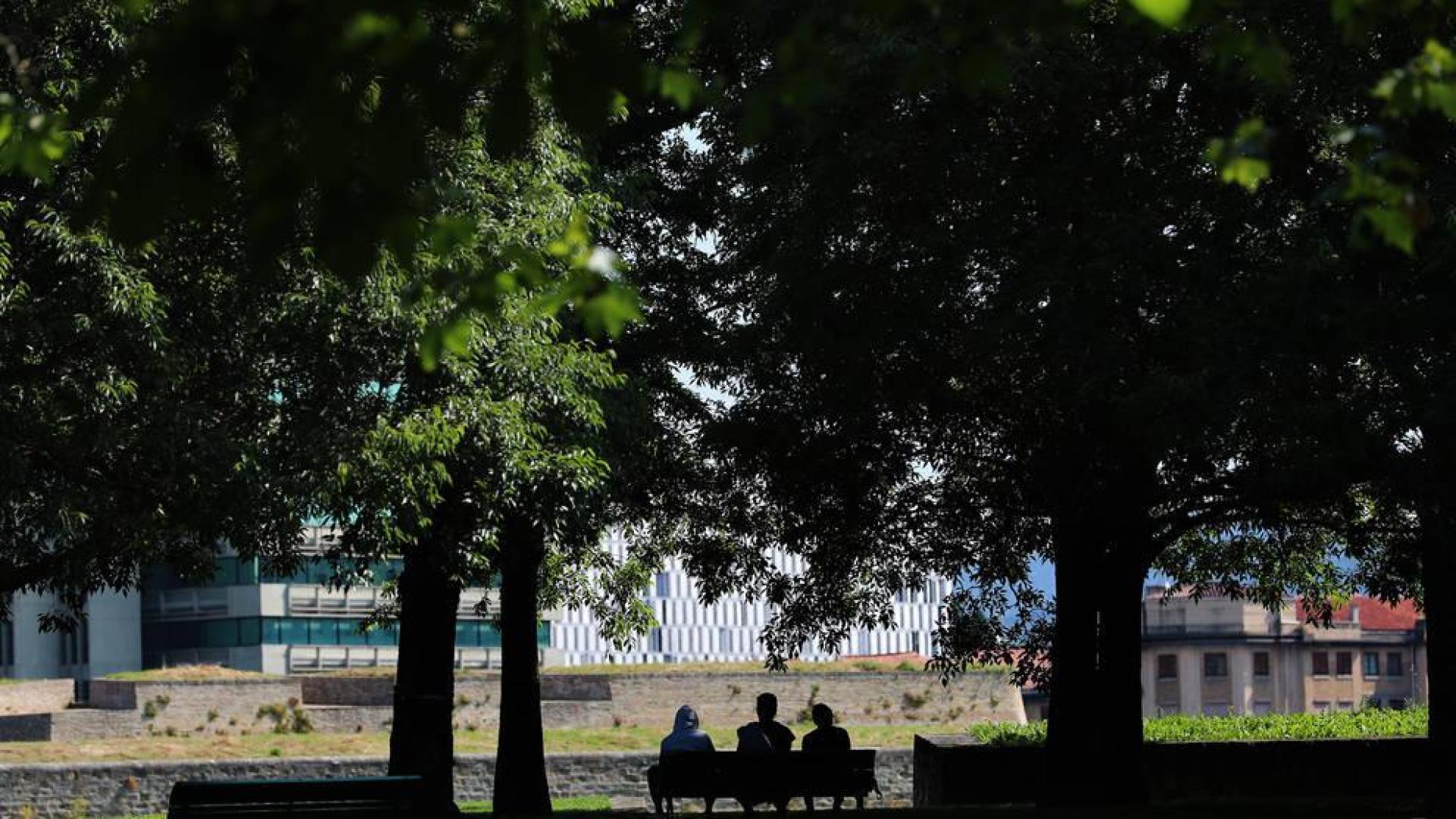 Un invierno cálido y mascarillas avanzan una primavera 'moderada' a los alérgicos