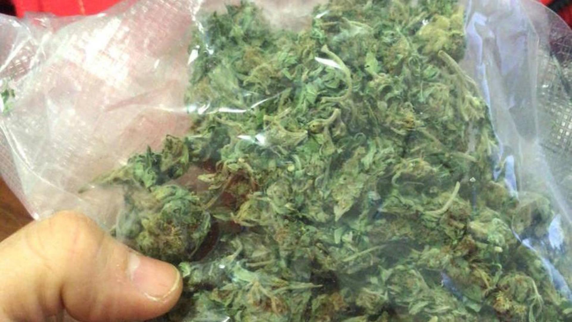 Un agente sostiene la bolsa de marihuana incautada.