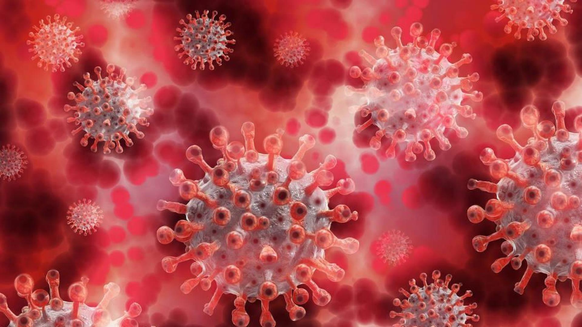 Los resfriados por otros coronavirus podrían generar cierta protección ante el Covid-19