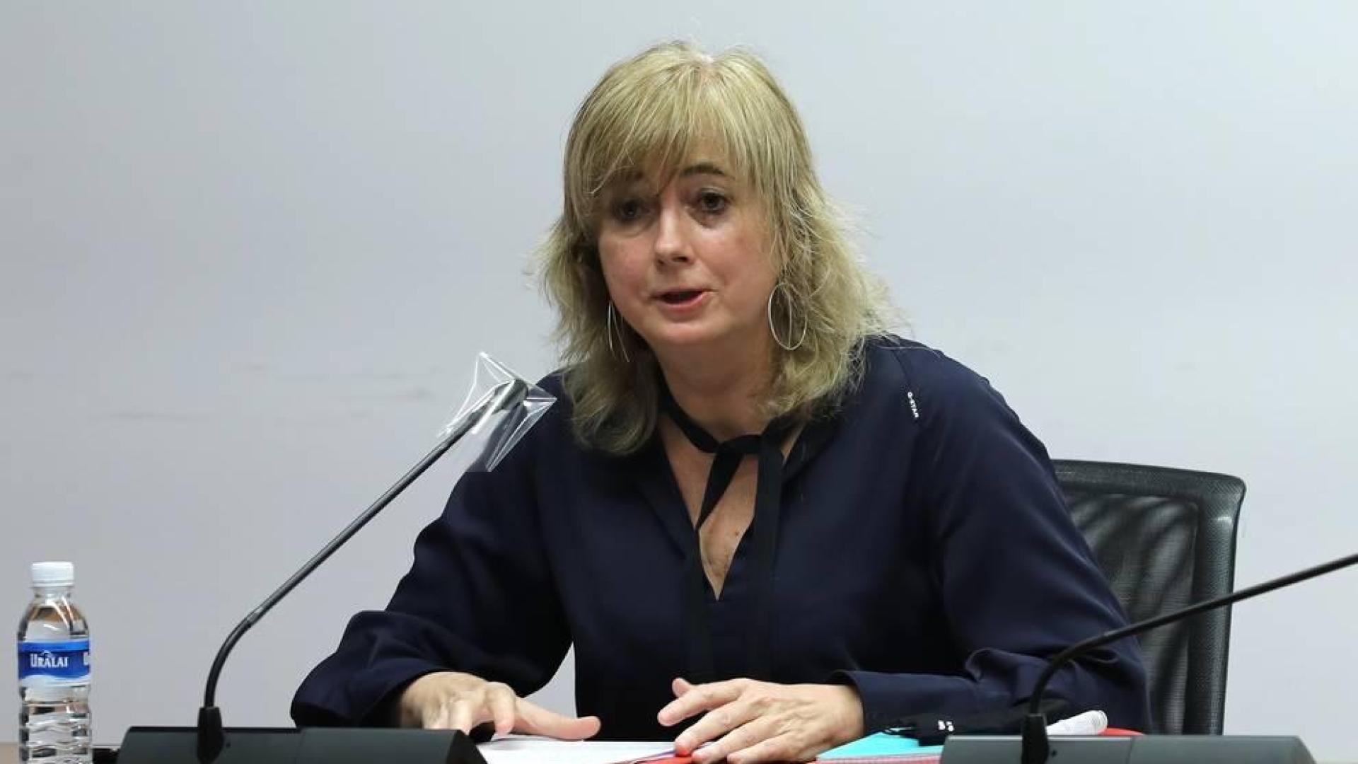 Ollo trasladará a Interior el informe sobre terrorismo de extrema derecha
