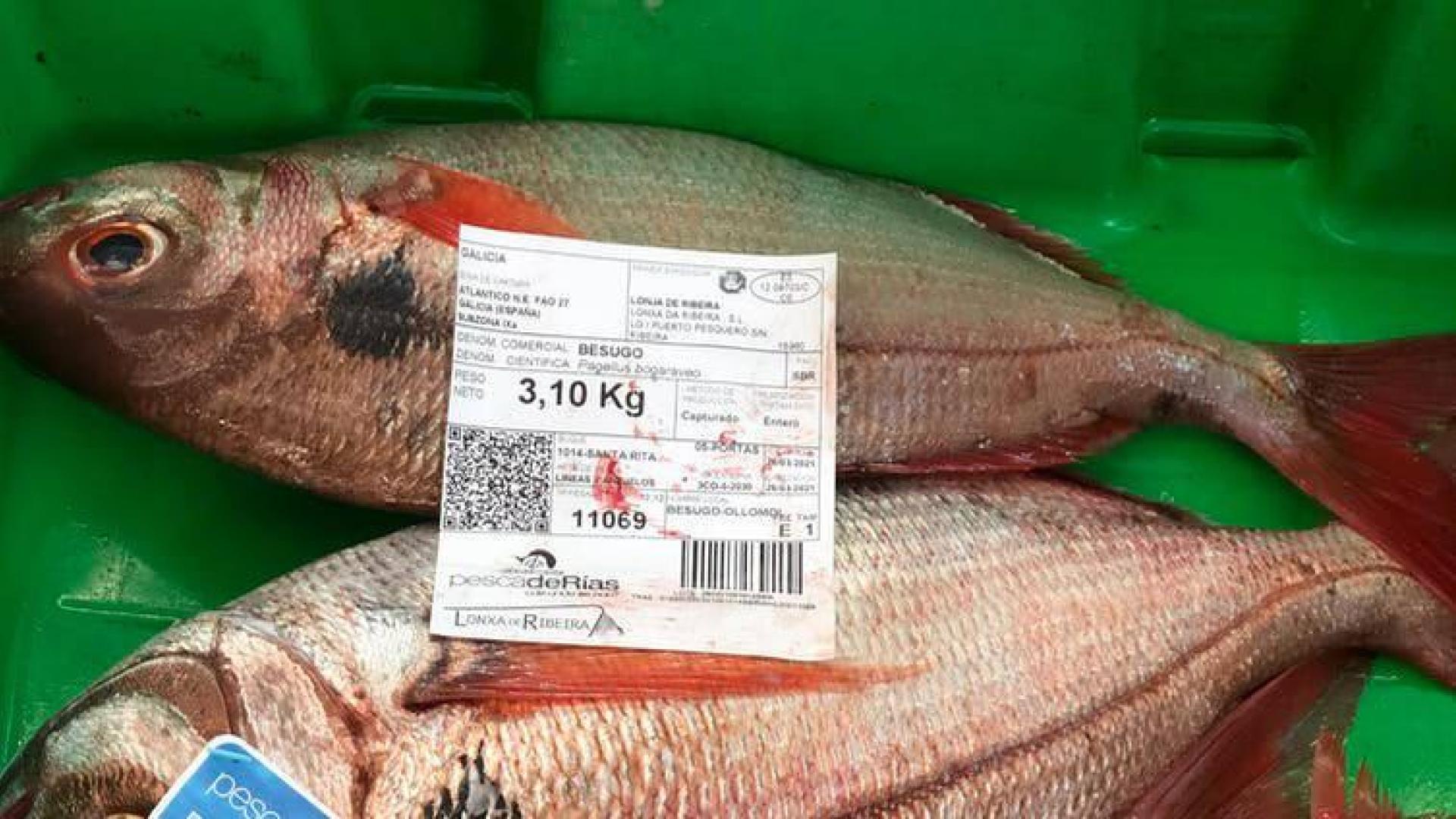 Cinco reglas para elegir alimentos que mejoren su salud y la del planeta