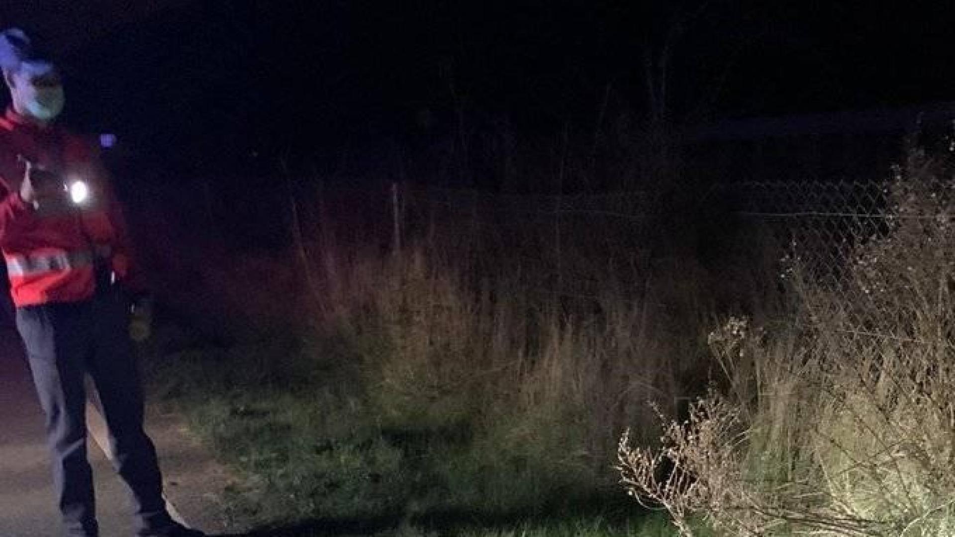 Policía Foral atiende tres accidentes con animales en menos de media hora