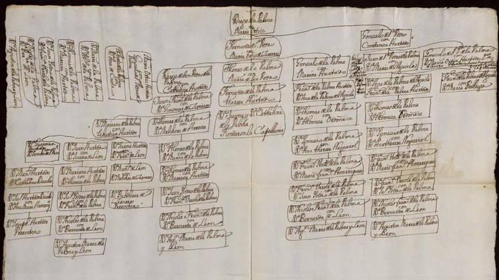 Árbol genealógico de los De la Palma, judeoconversos de Toledo convertidos ya en el siglo XVII en nobles y limpios de sangre (Archivo Histórico de la Nobleza, fondo Villagonzalo, 45, 78).