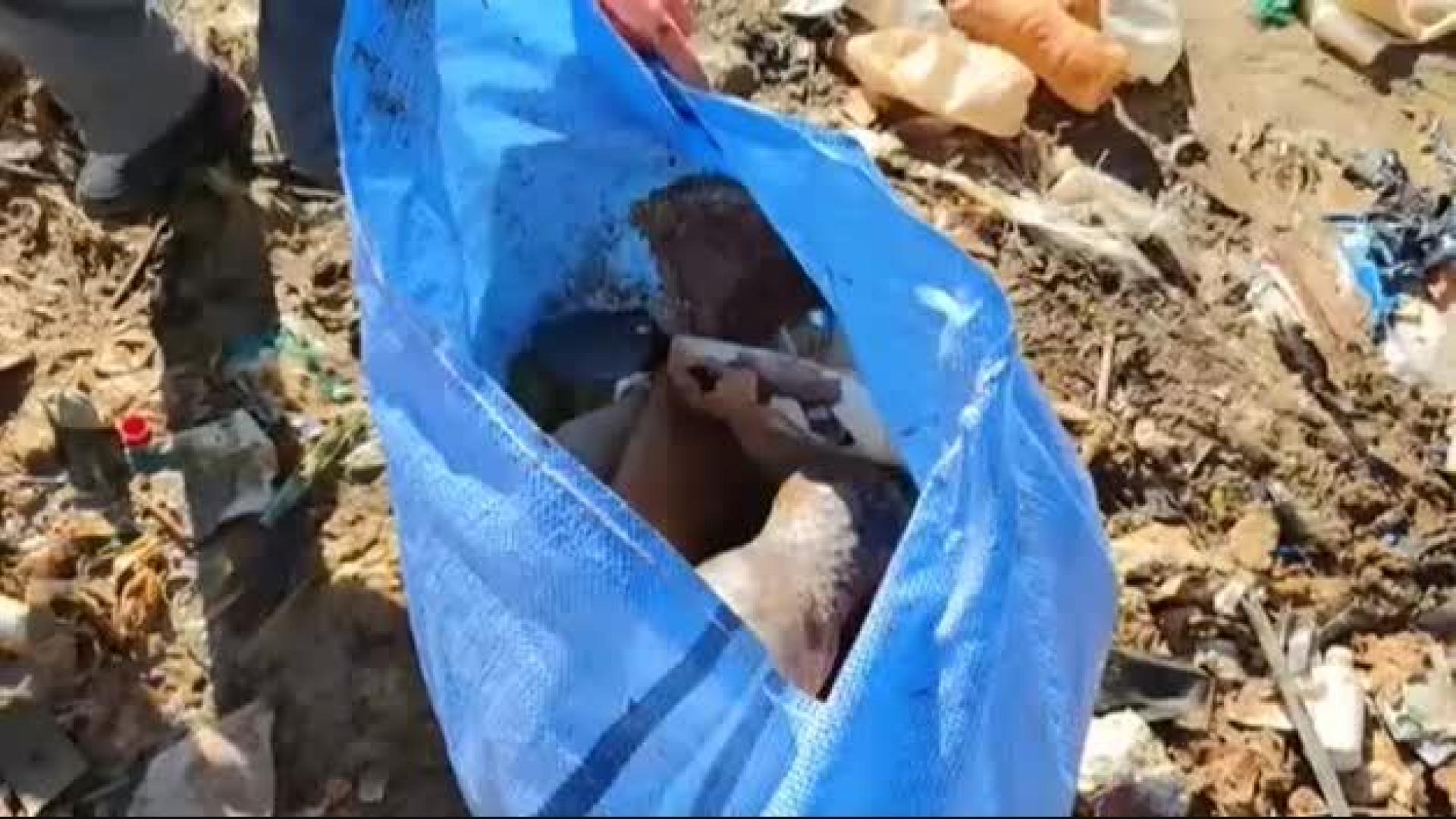 Vídeo: Limpian el contaminado lago Uru Uru de Bolivia convertido en un basurero