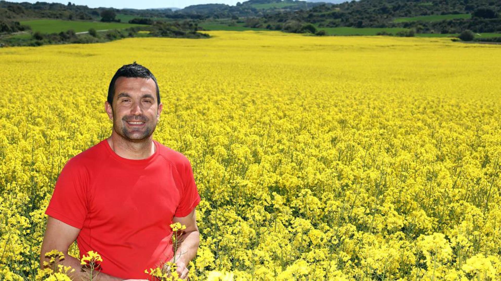 La colza, de colorear los campos de amarillo a biodiésel en Francia