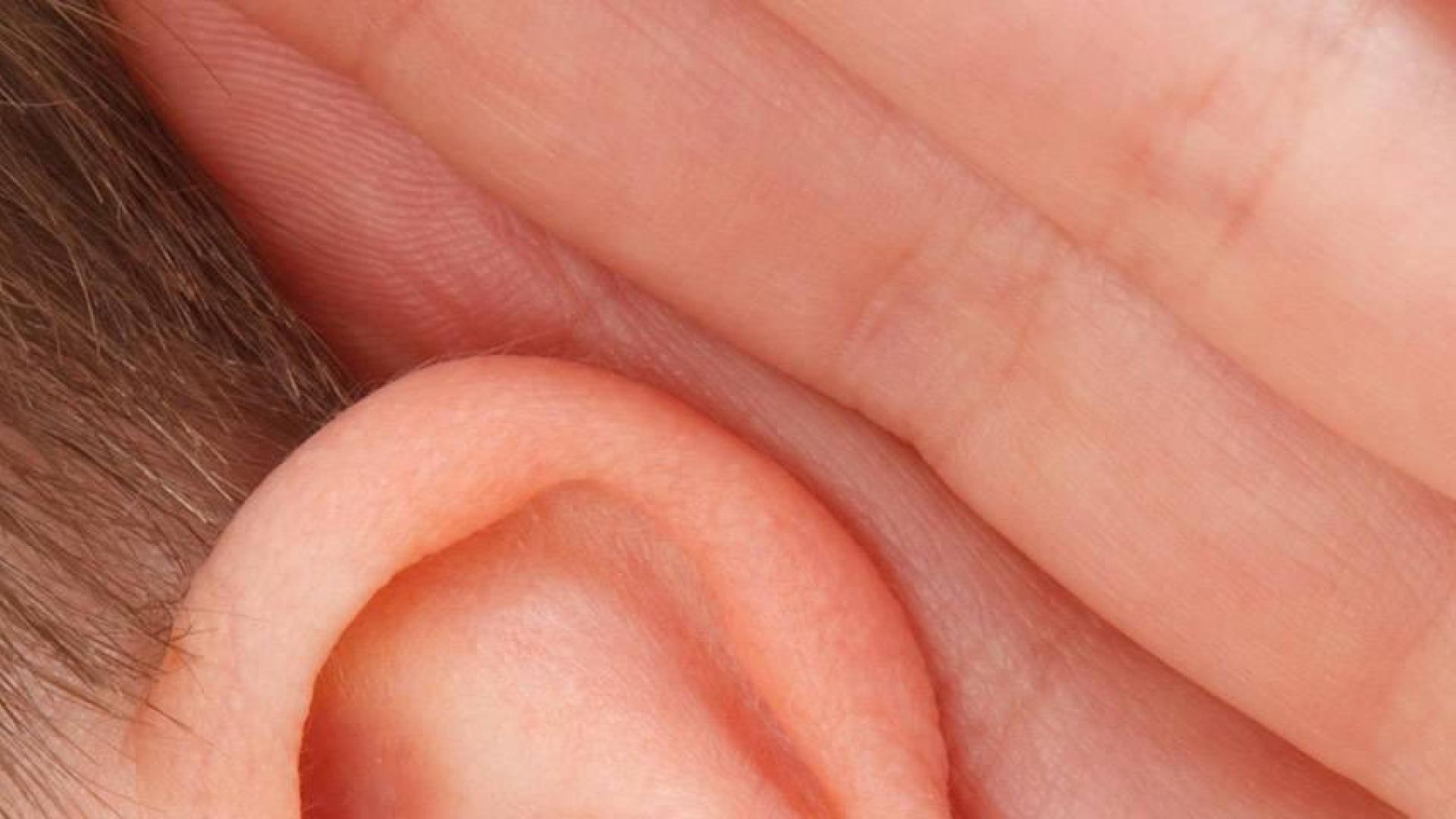 Identifican por primera vez los genes asociados al ruido en los oídos