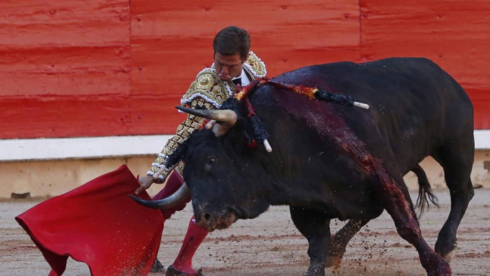 'Desgarbado', el toro de la feria, le abre a El Juli la puerta del encierro