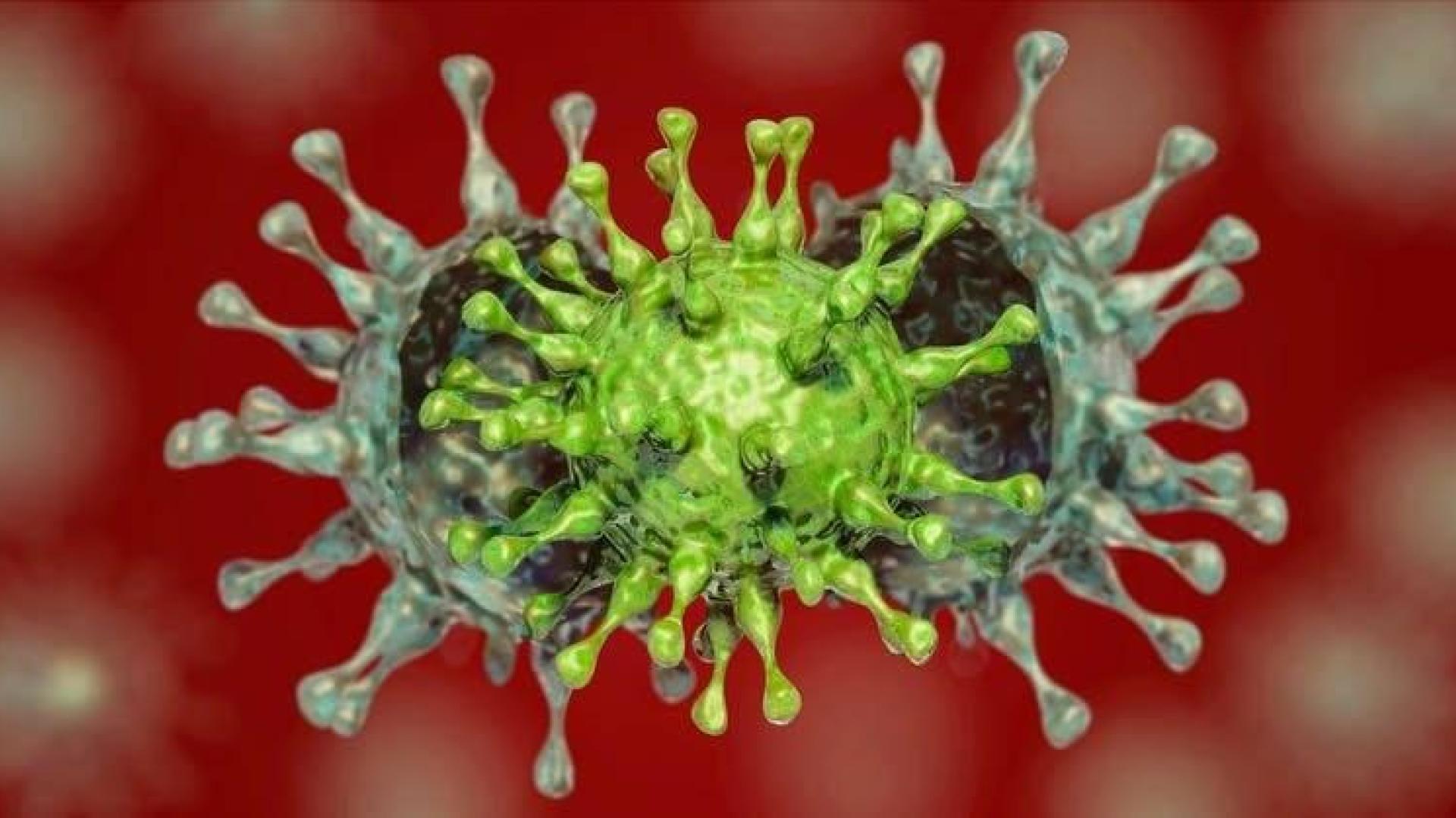 Por qué es muy difícil reinfectarse por SARS-CoV-2