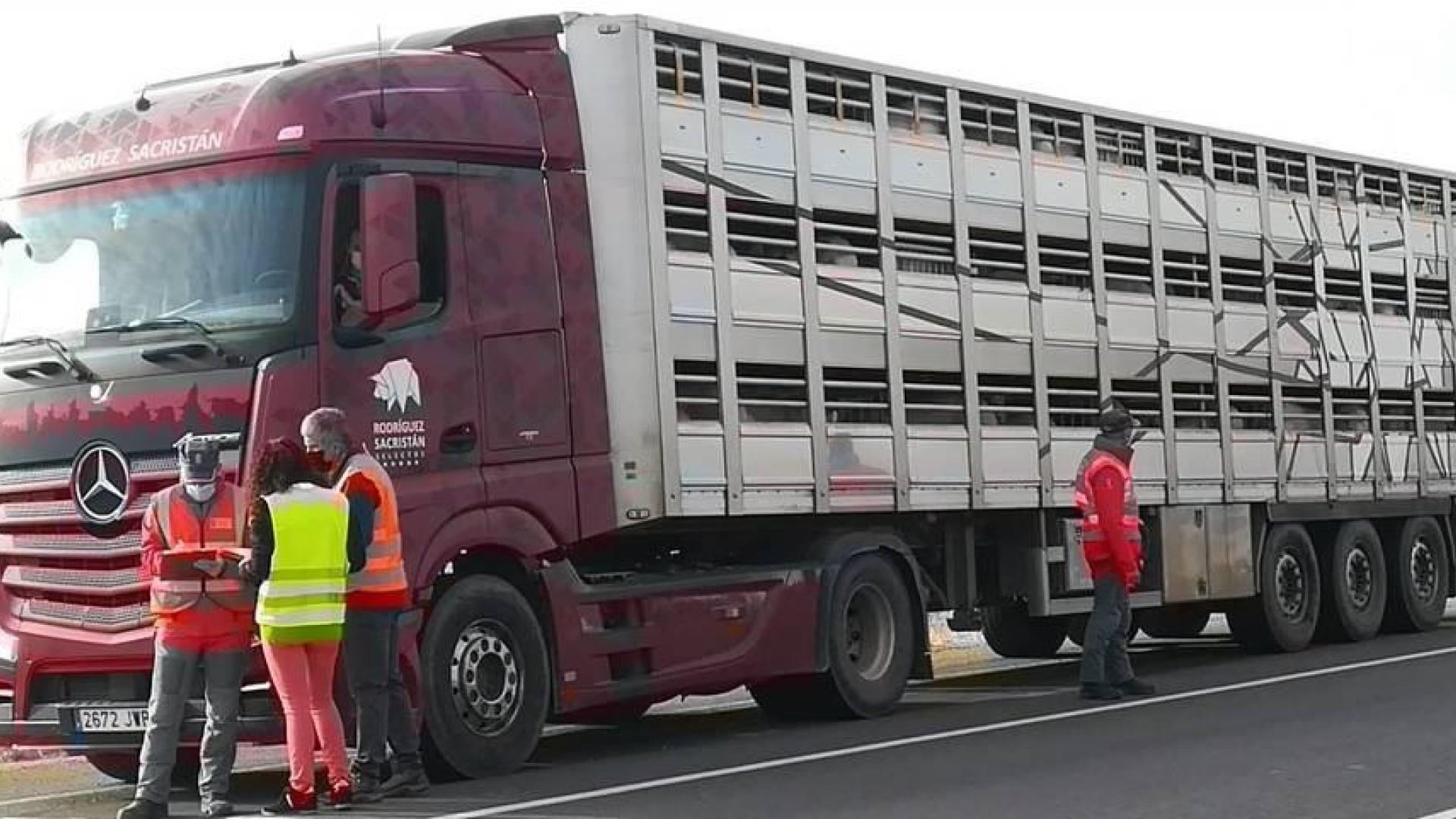Policía Foral realiza controles de bienestar animal en el transporte