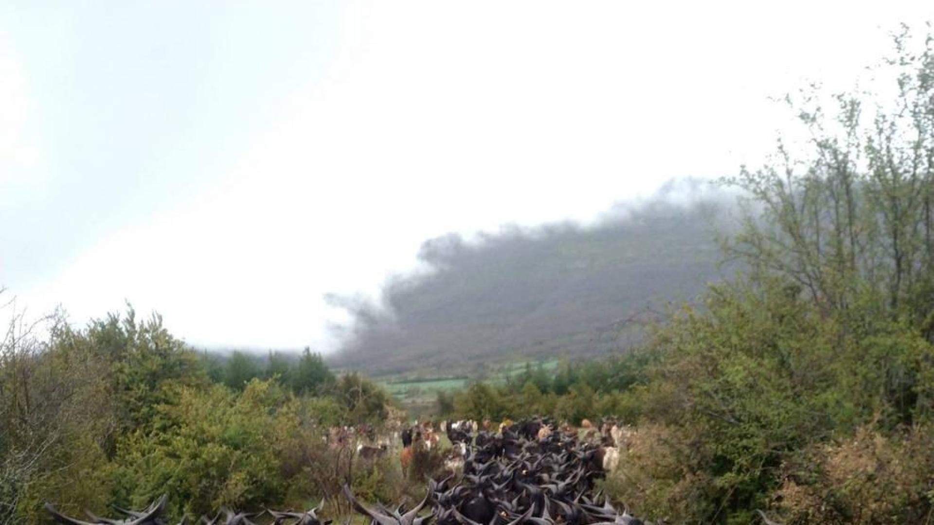 Castillonuevo y las cabras de la discordia