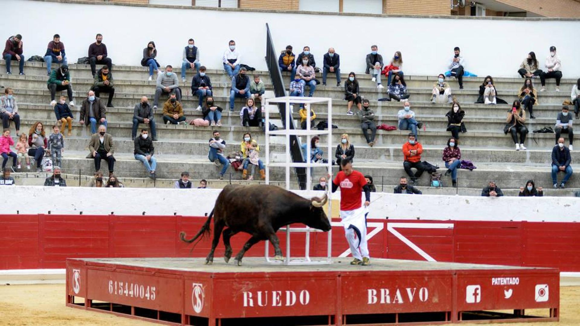 La zona media de Navarra acogió este domingo la primera exhibición de bravura de la mano de la ganadería Arriazu