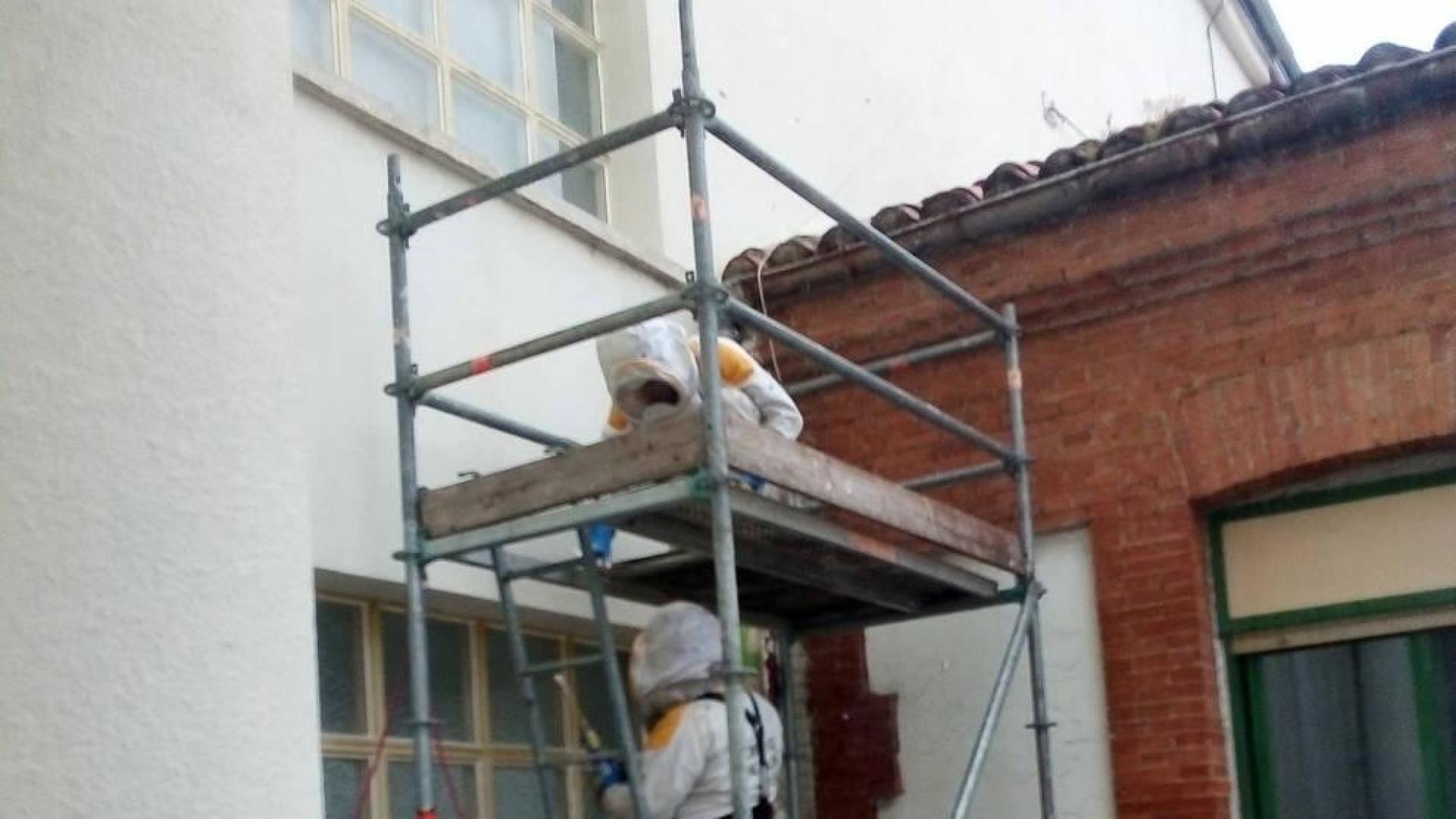 Los bomberos retiran una colonia de abejas del CHN