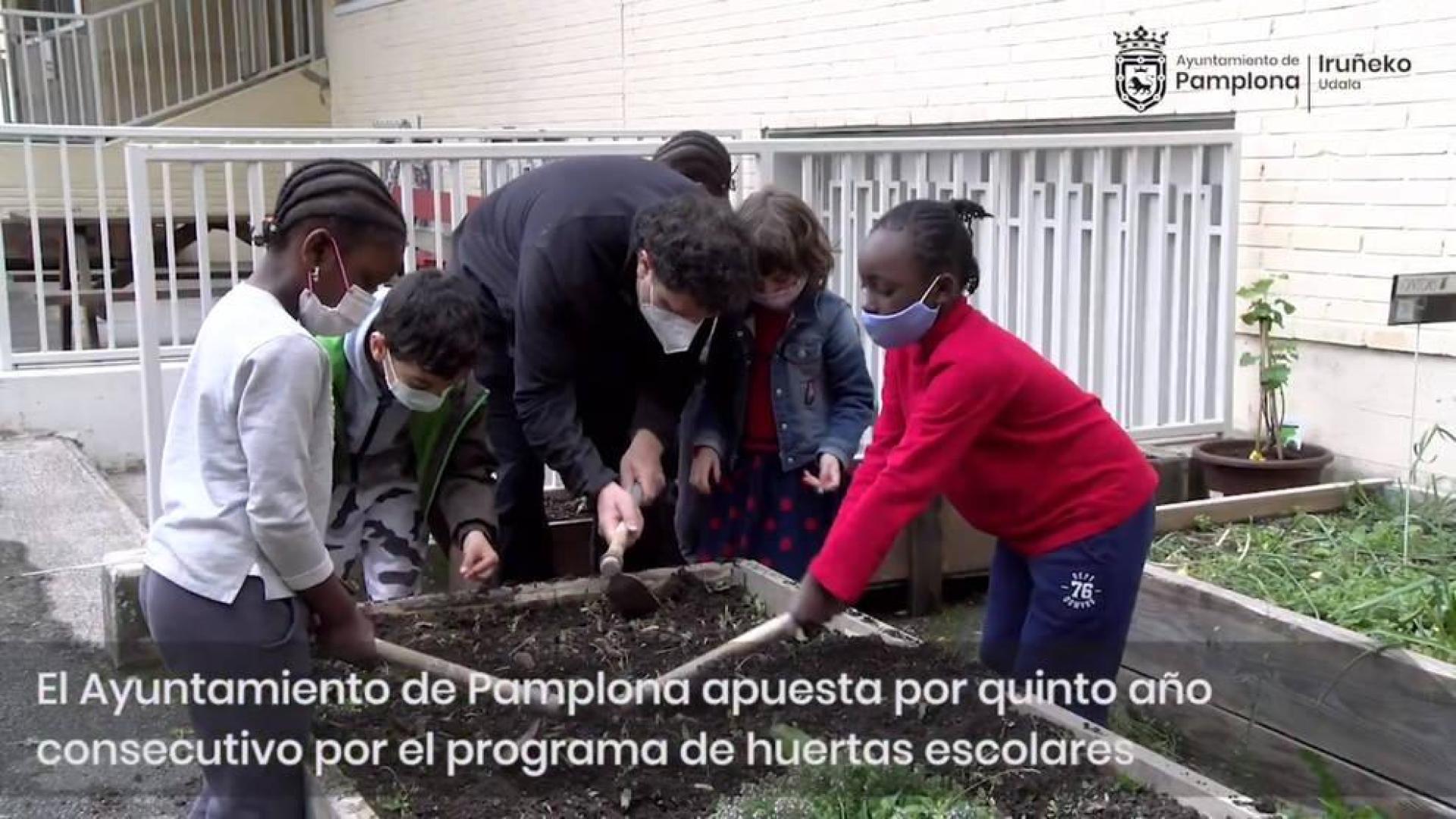 Las huertas escolares seguirán el próximo cursos en los colegios de Pamplona