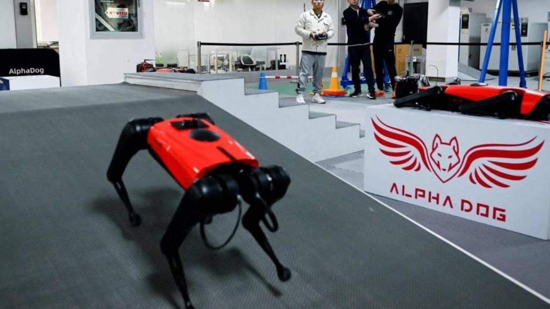 Una firma tecnológica agota sus perros robot que oyen, ven, suben escaleras y andan