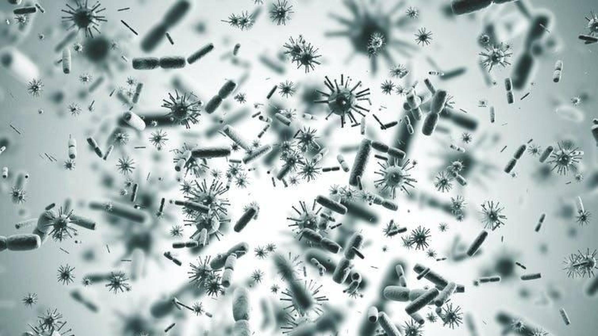 De los virus 'sin corona' a los coronavirus