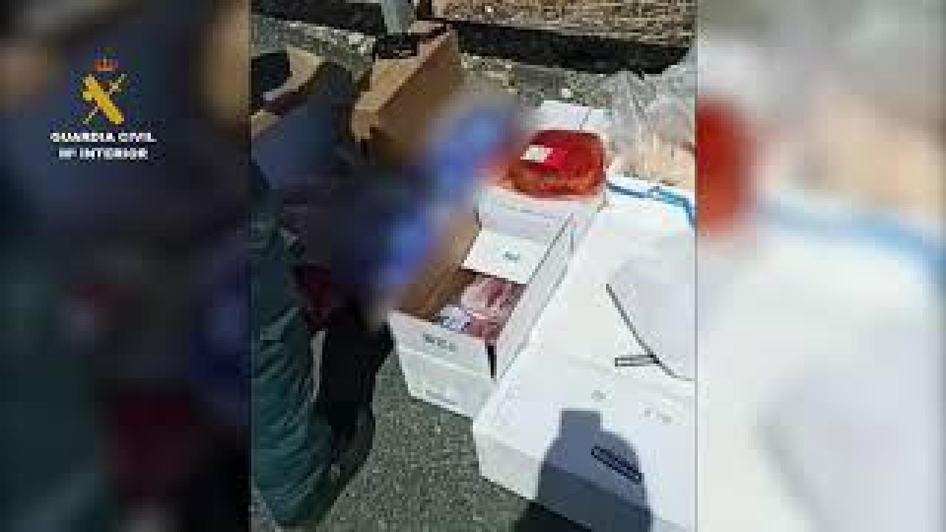 Alimentos interceptaros sin guardar la cadena de frío