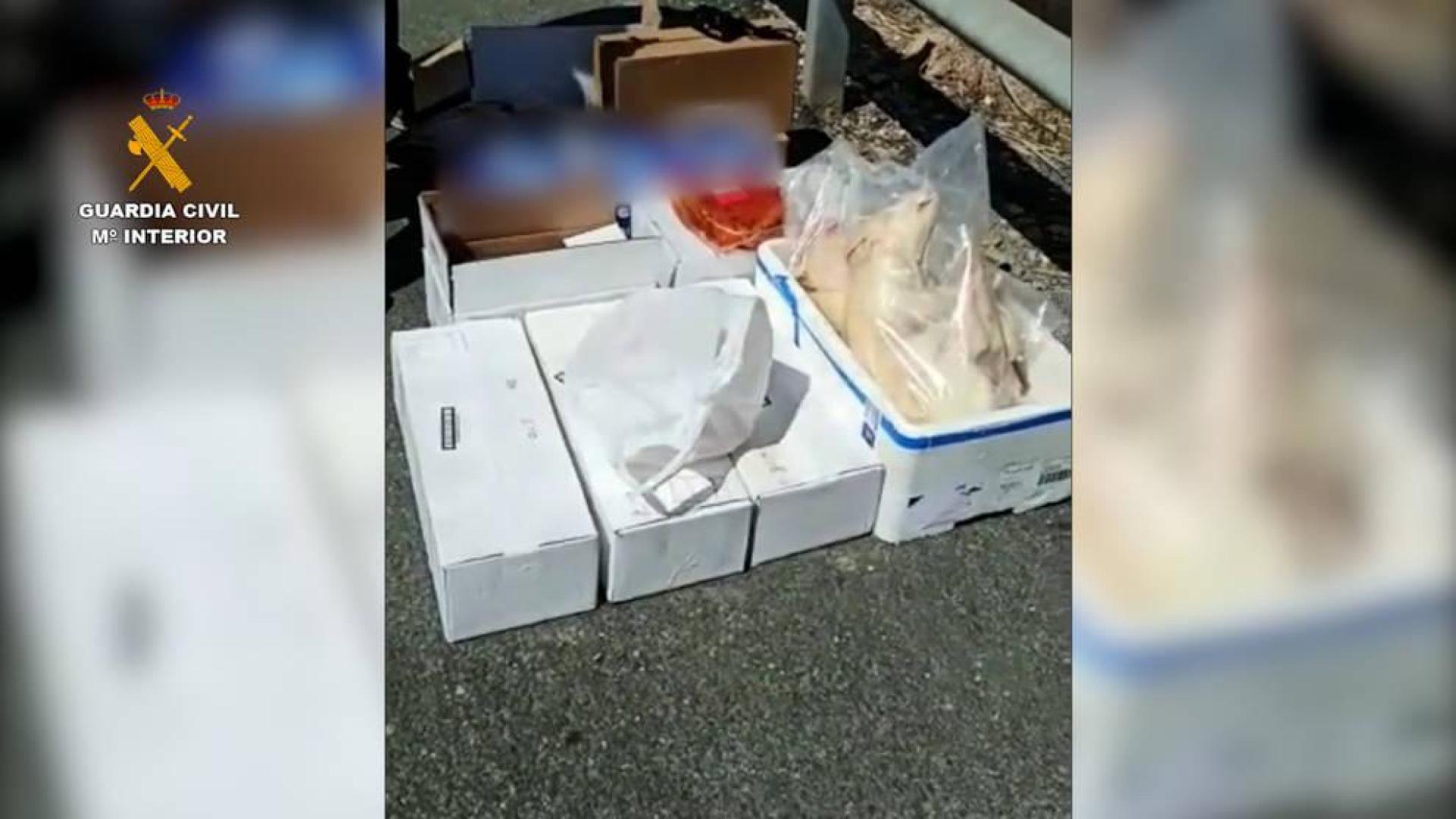 Interceptados 100kg de alimentos en una furgoneta sin mantener cadena frío